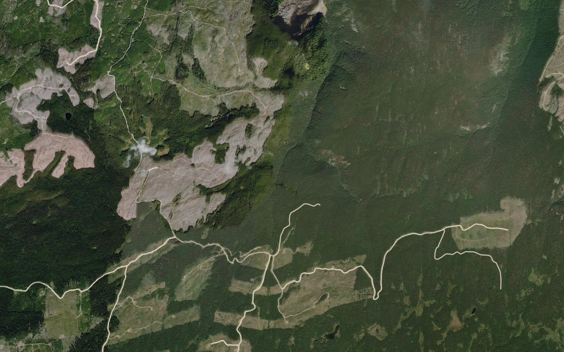 Satellite map of the Paradise Creek