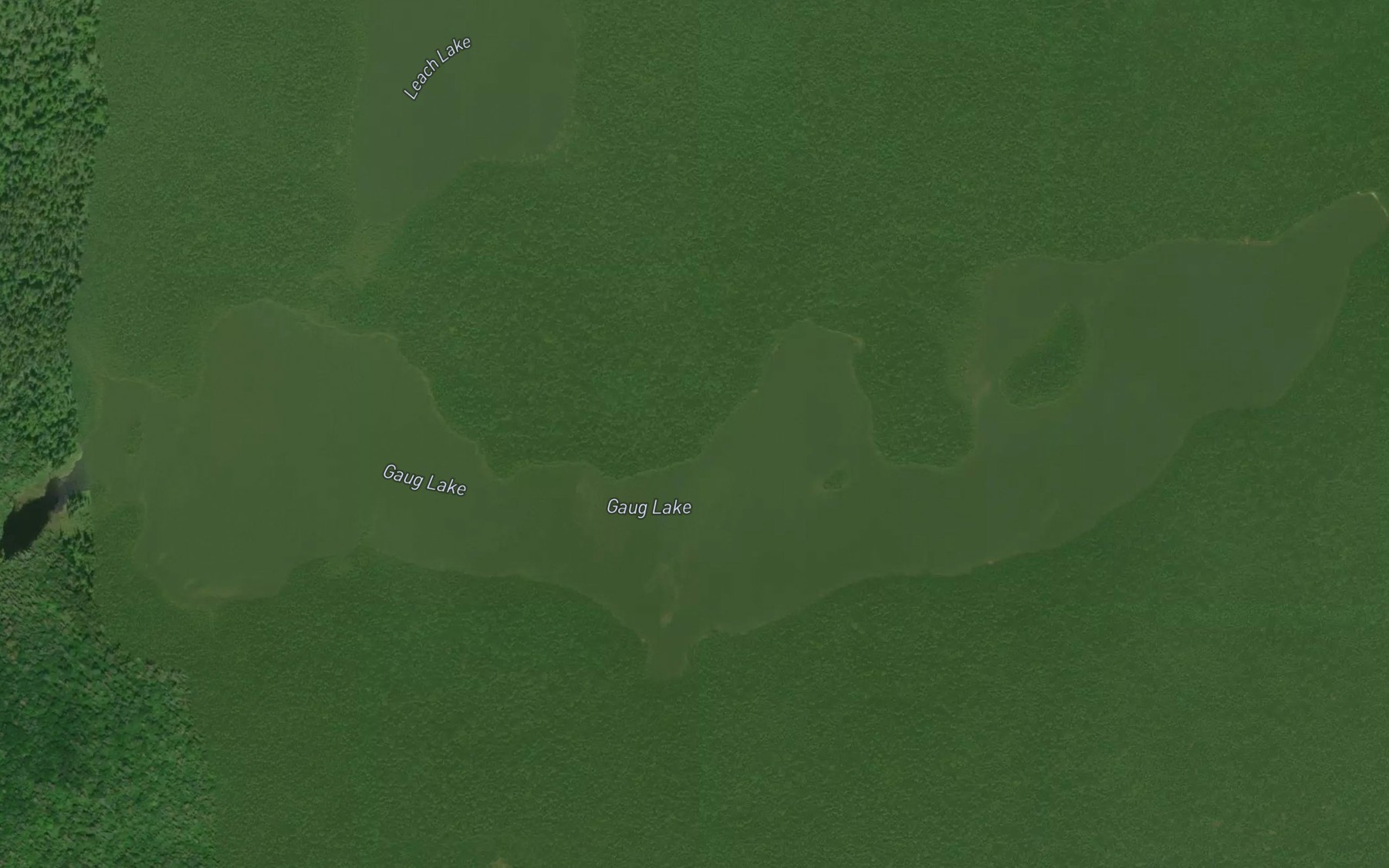 Satellite map of the Gaug Lake