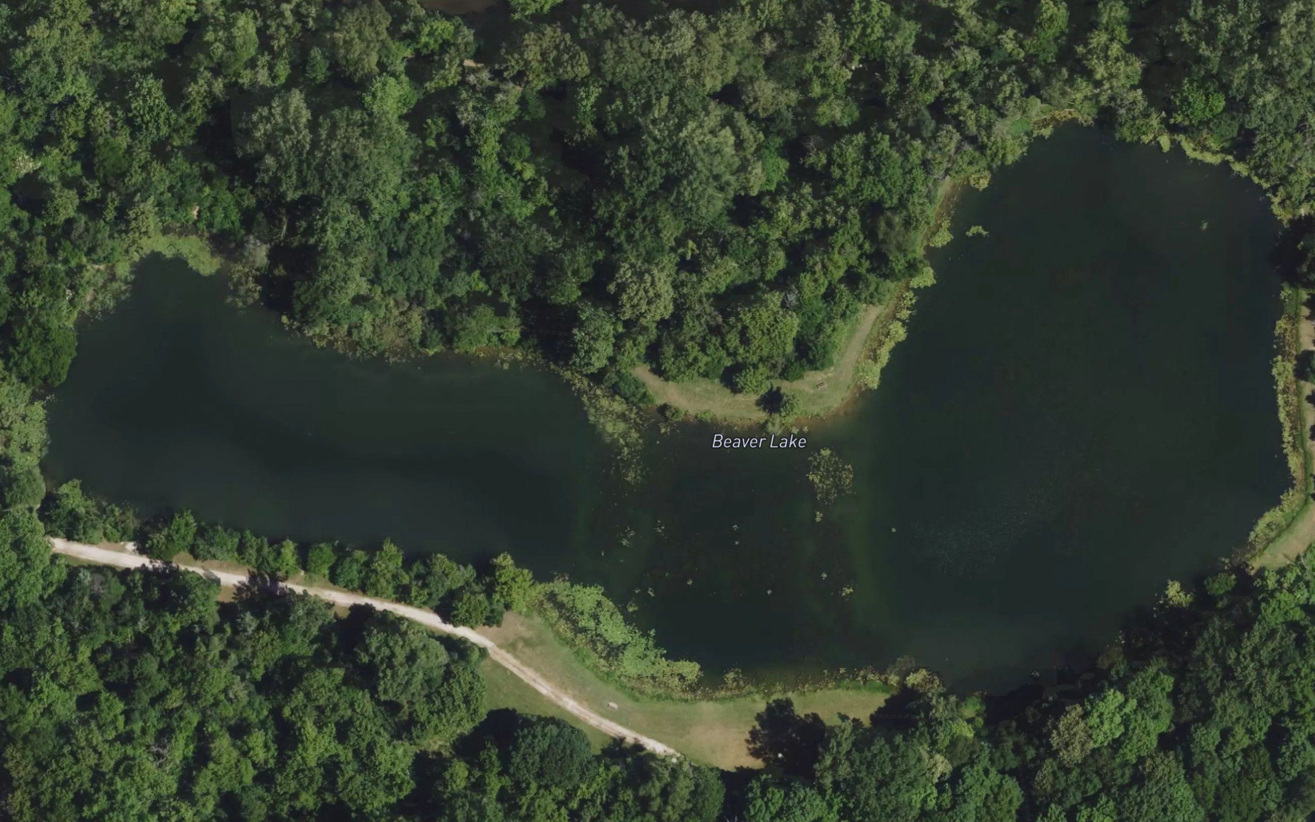 Beaver Lake