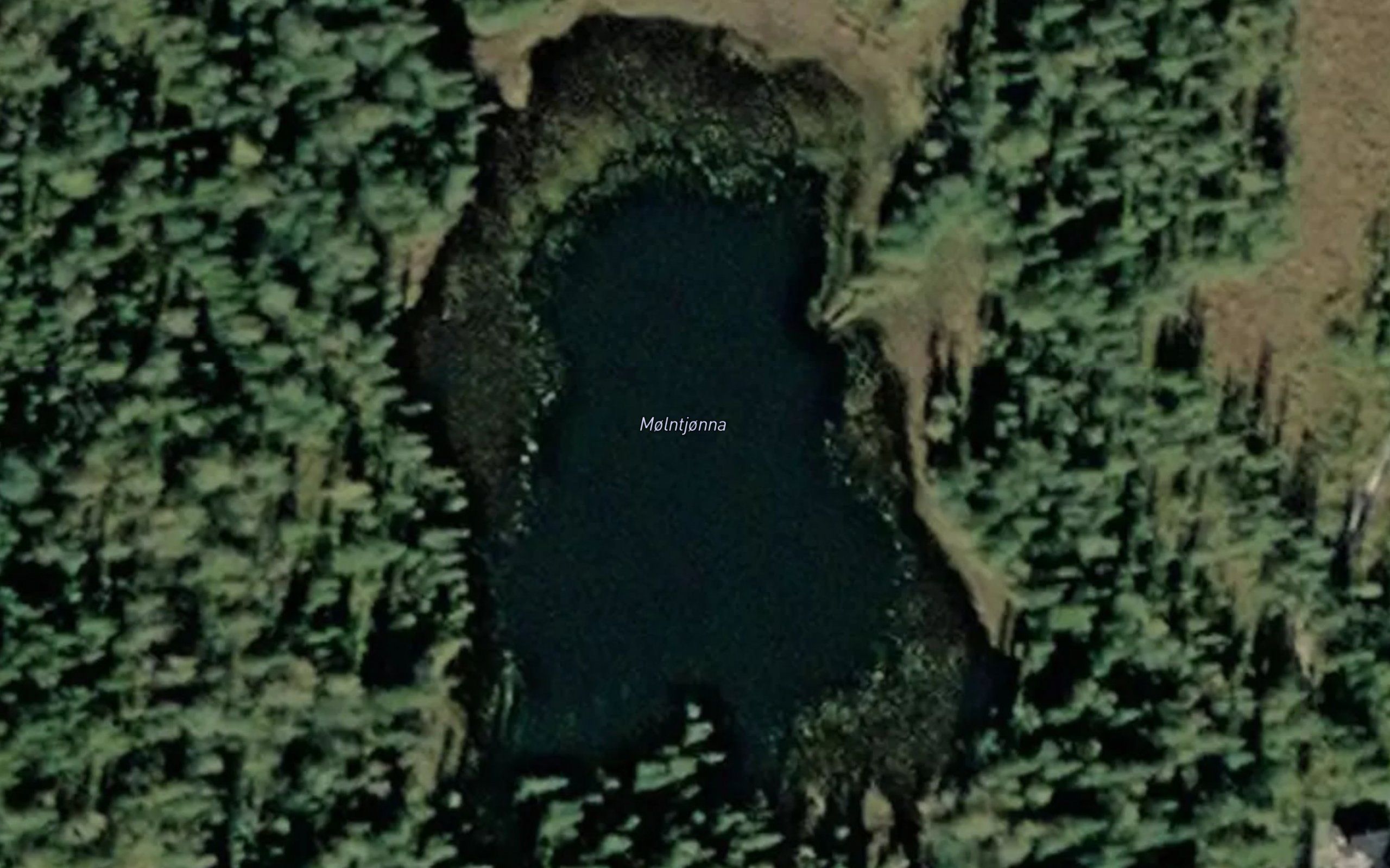 Molntjorna