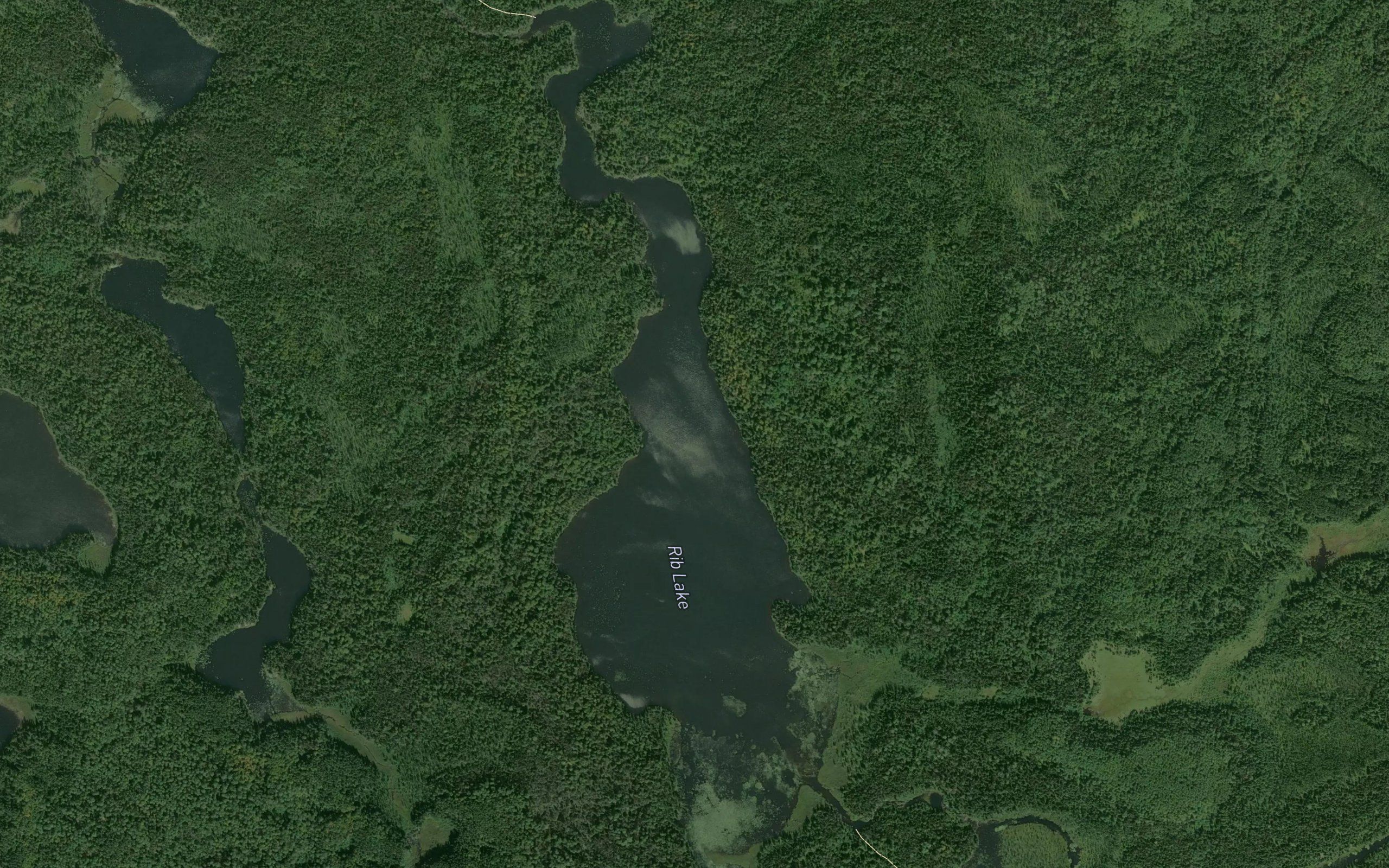 Rib Lake