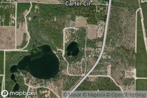 Woody Pond