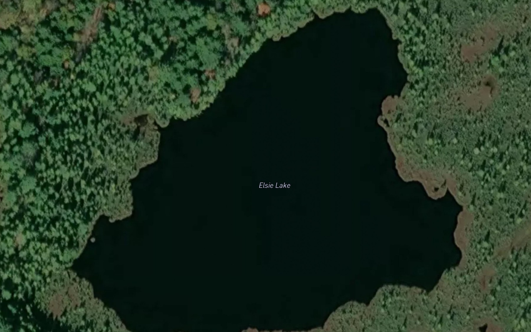 Satellite map of the Elsie Lake