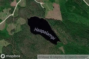 Haapalampi