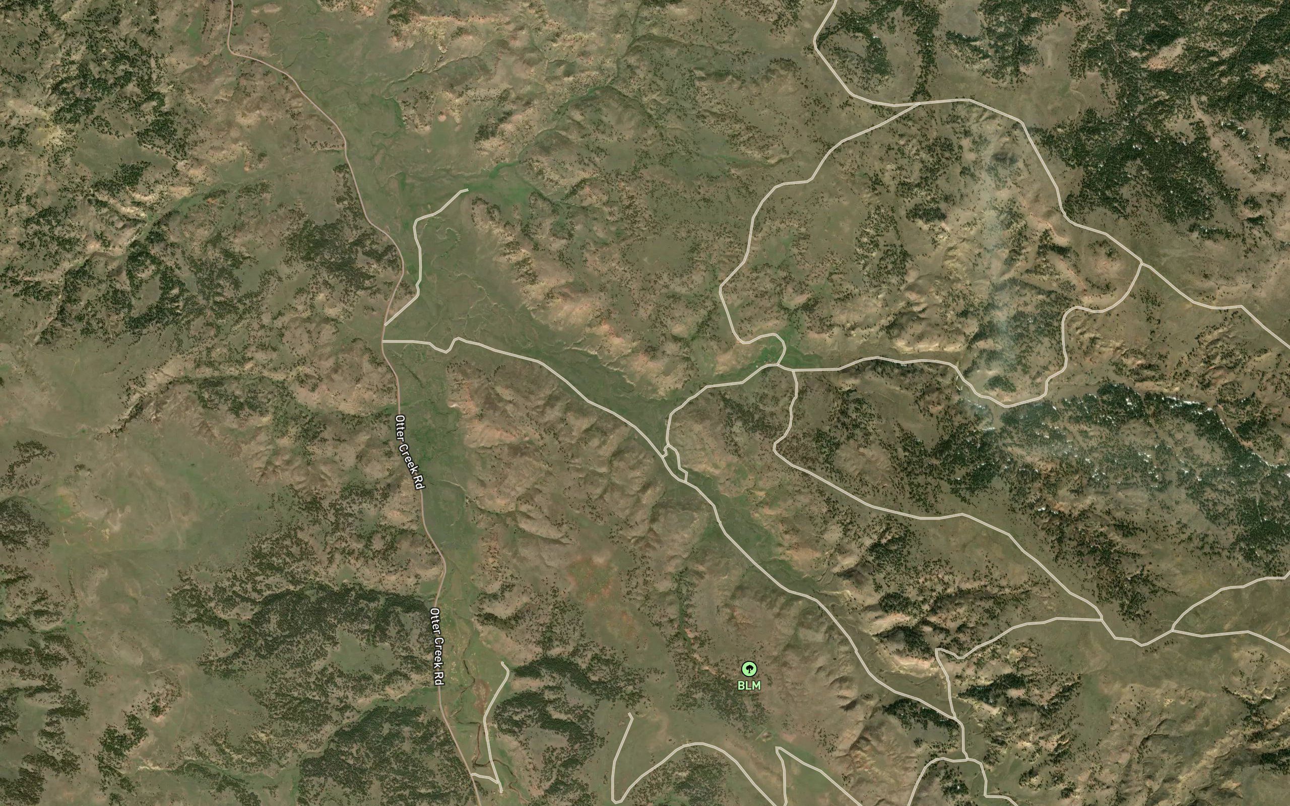 Little Bradshaw Creek