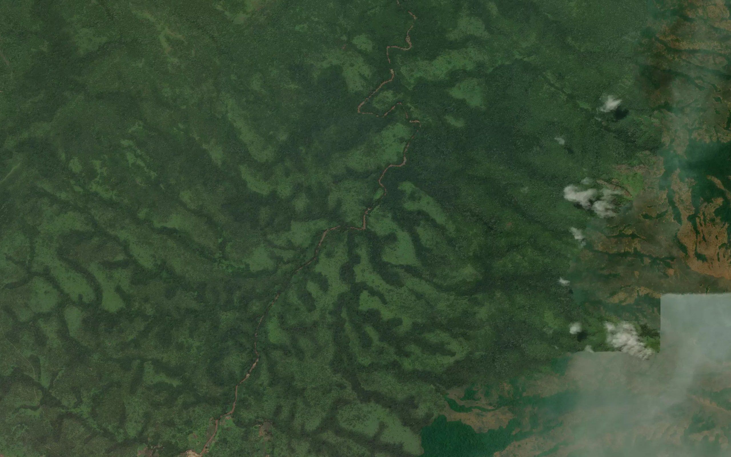 River Daddi