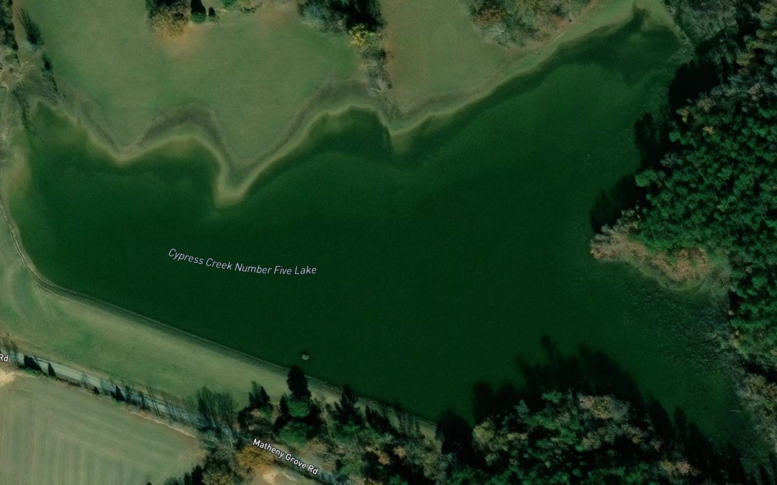 Cypress Creek Number Five Lake
