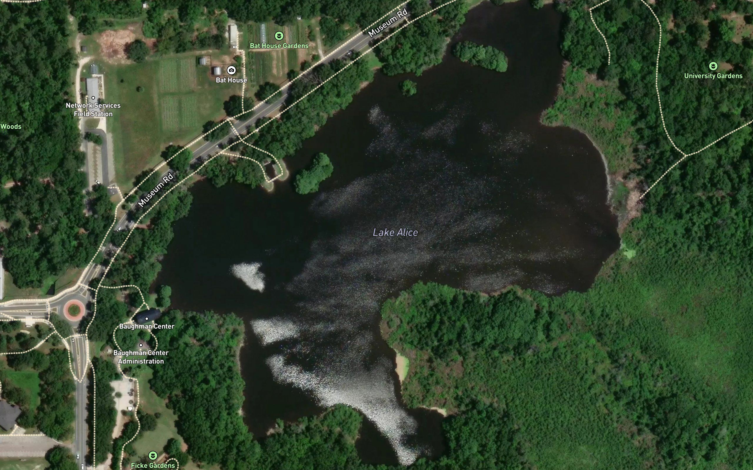 Lake Alice