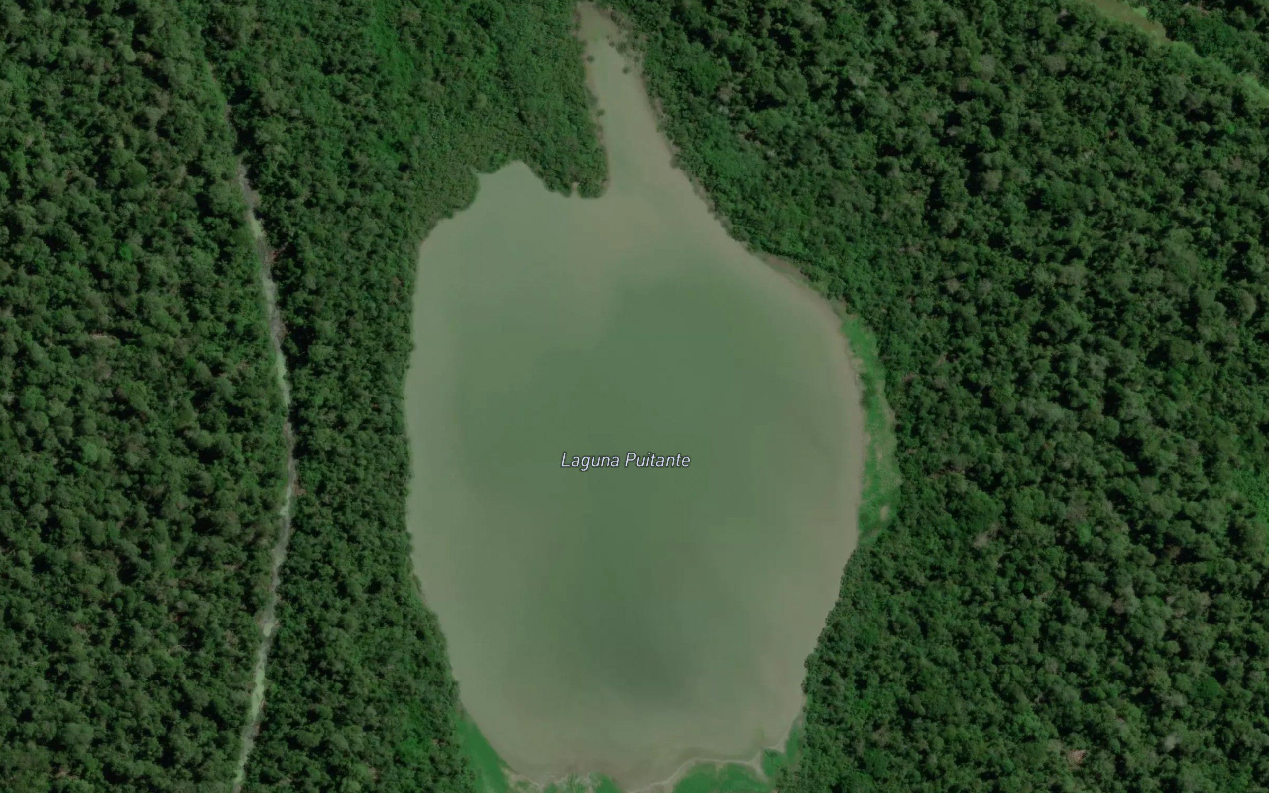 Laguna Puitante