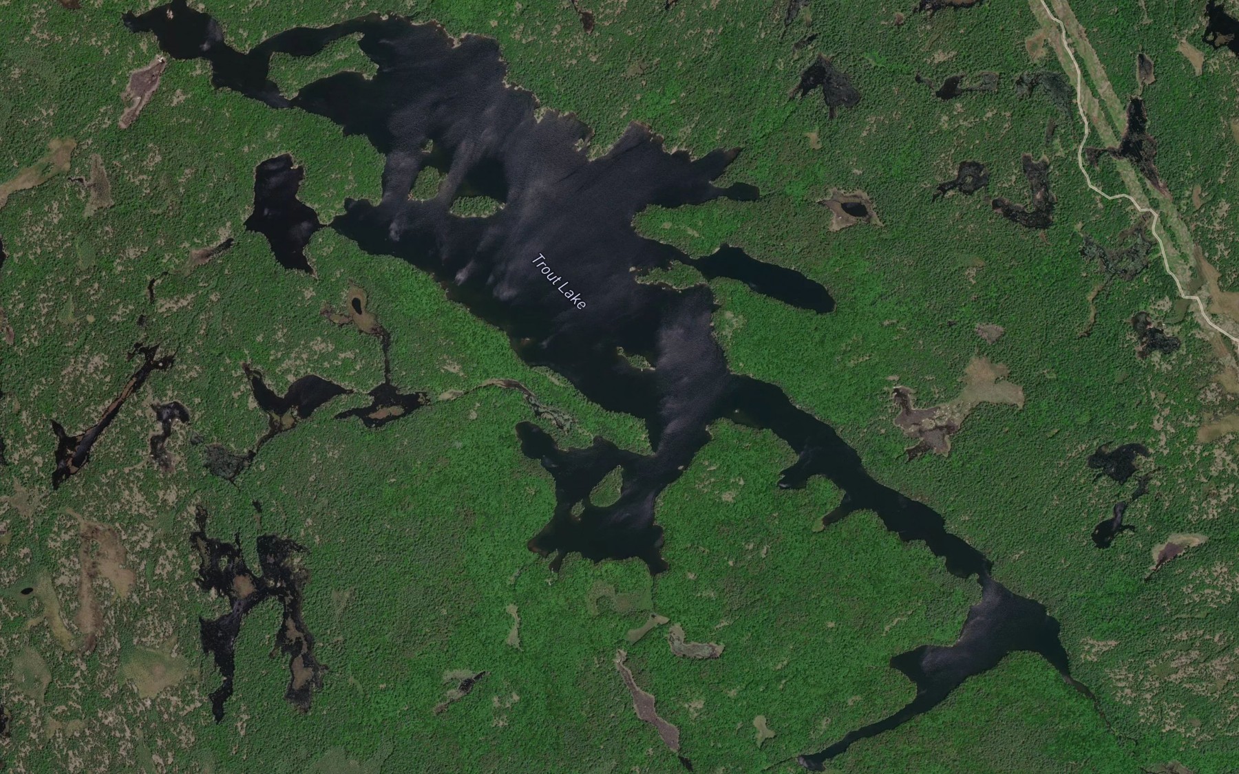 Satellite map of the Trout Lake
