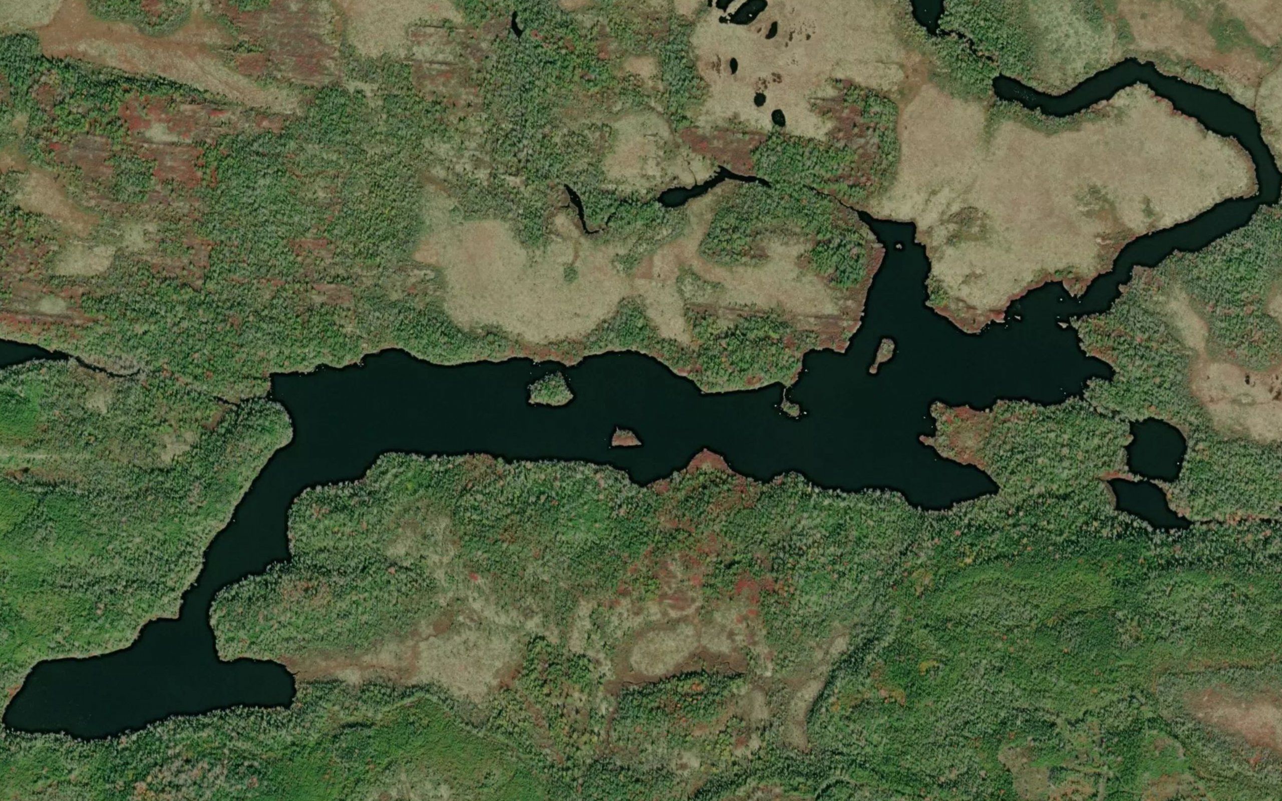 Quinces Long Lake
