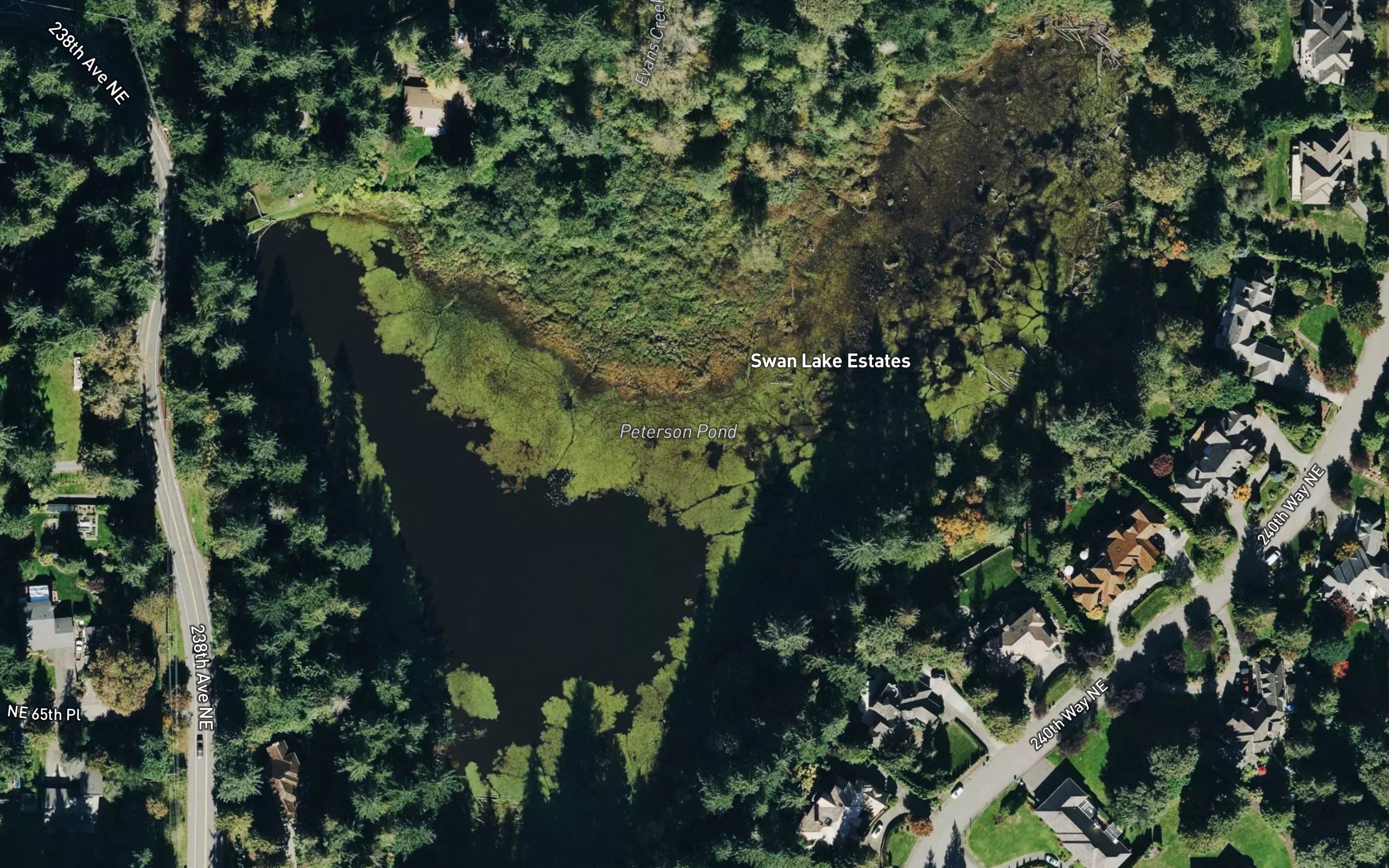 Peterson Pond