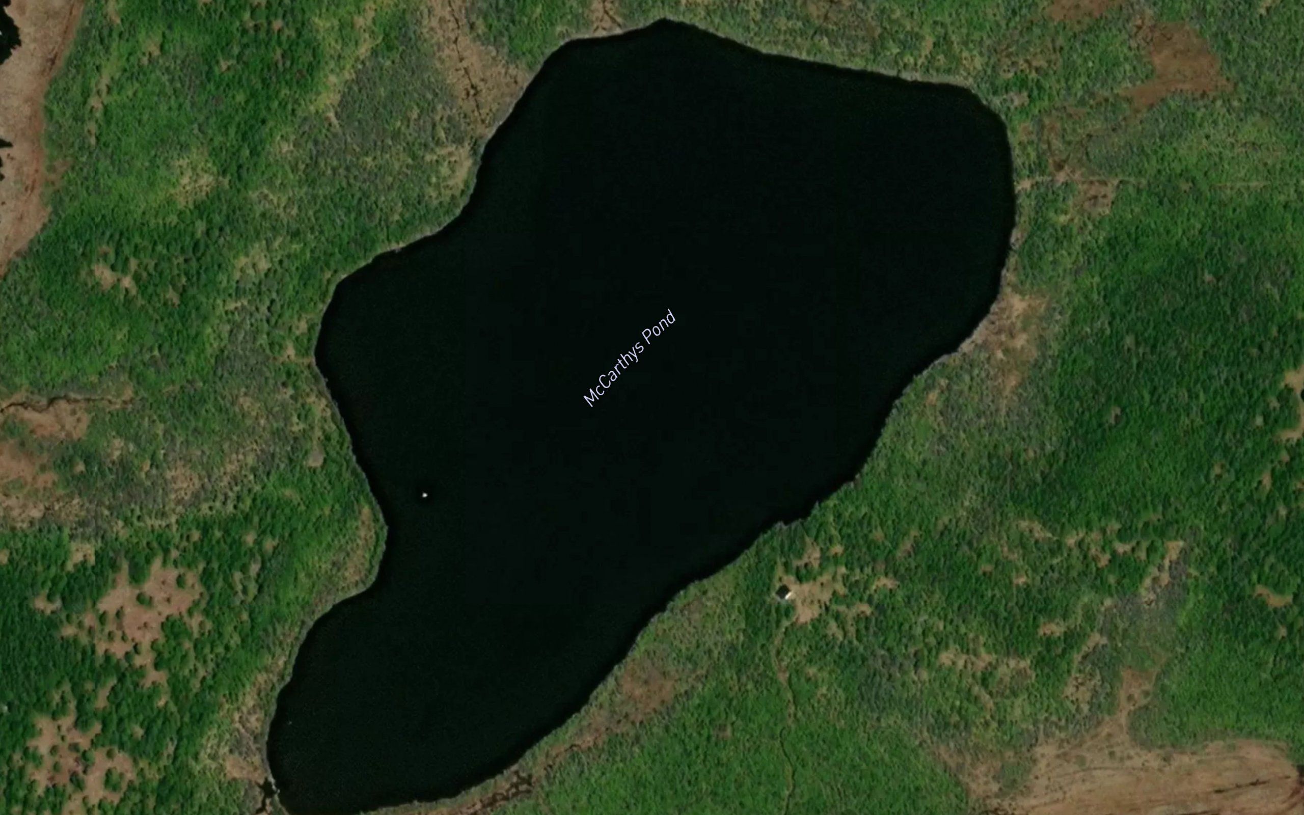McCarthys Pond