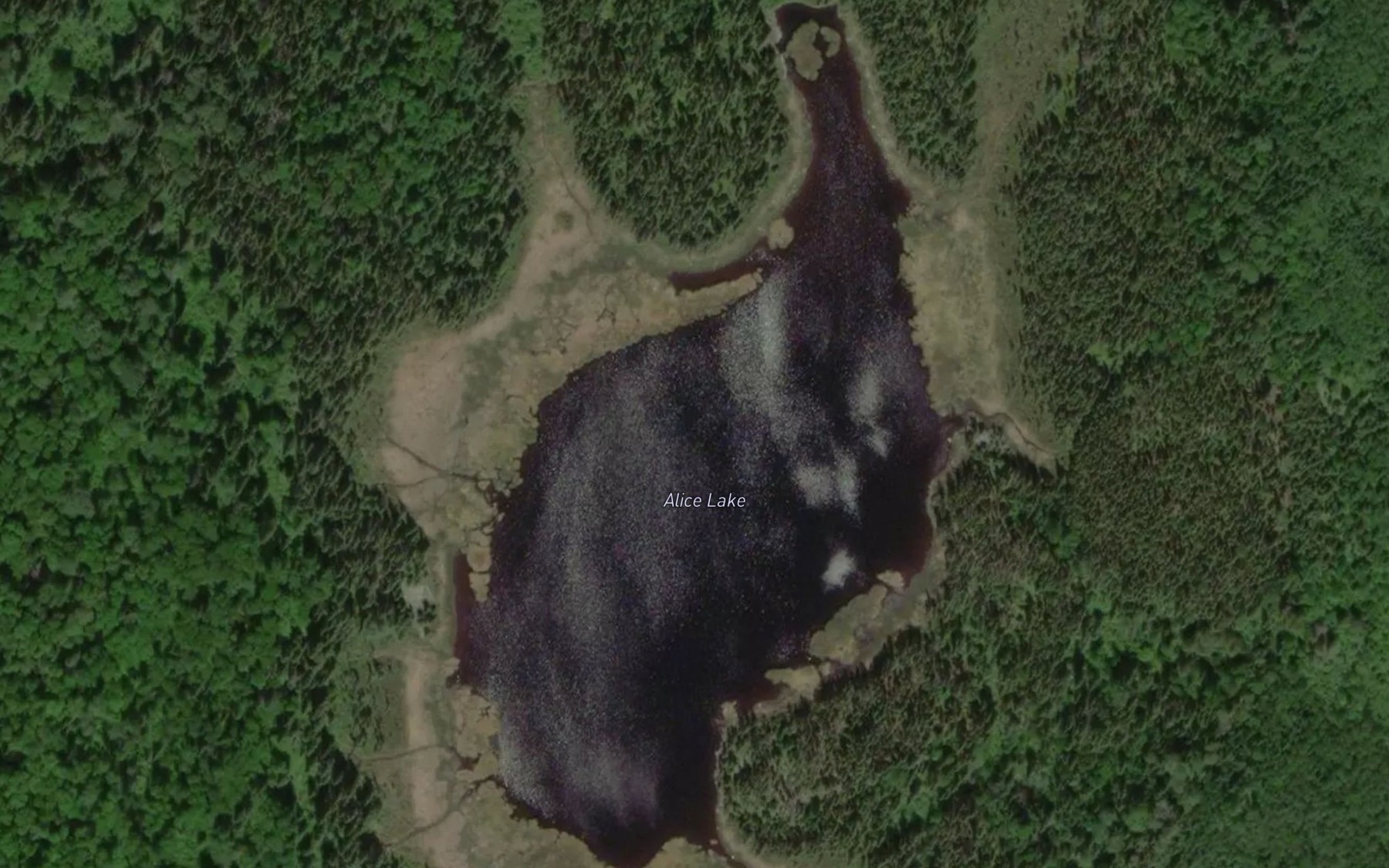 Satellite map of the Alice Lake