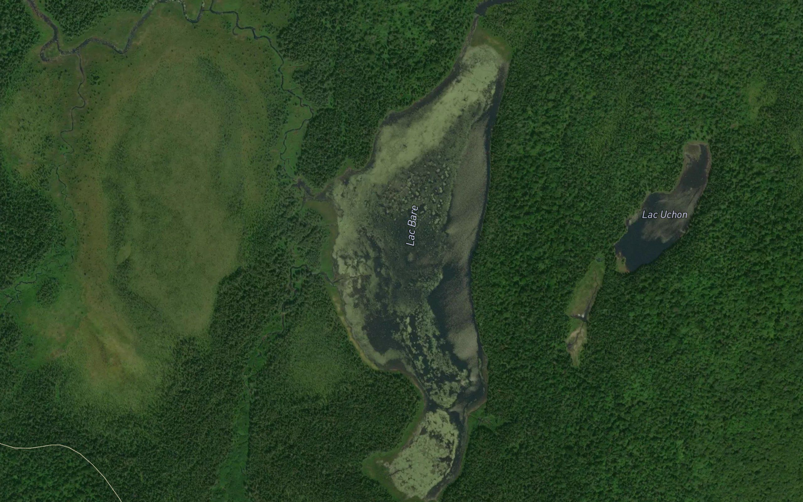 Lac Bare