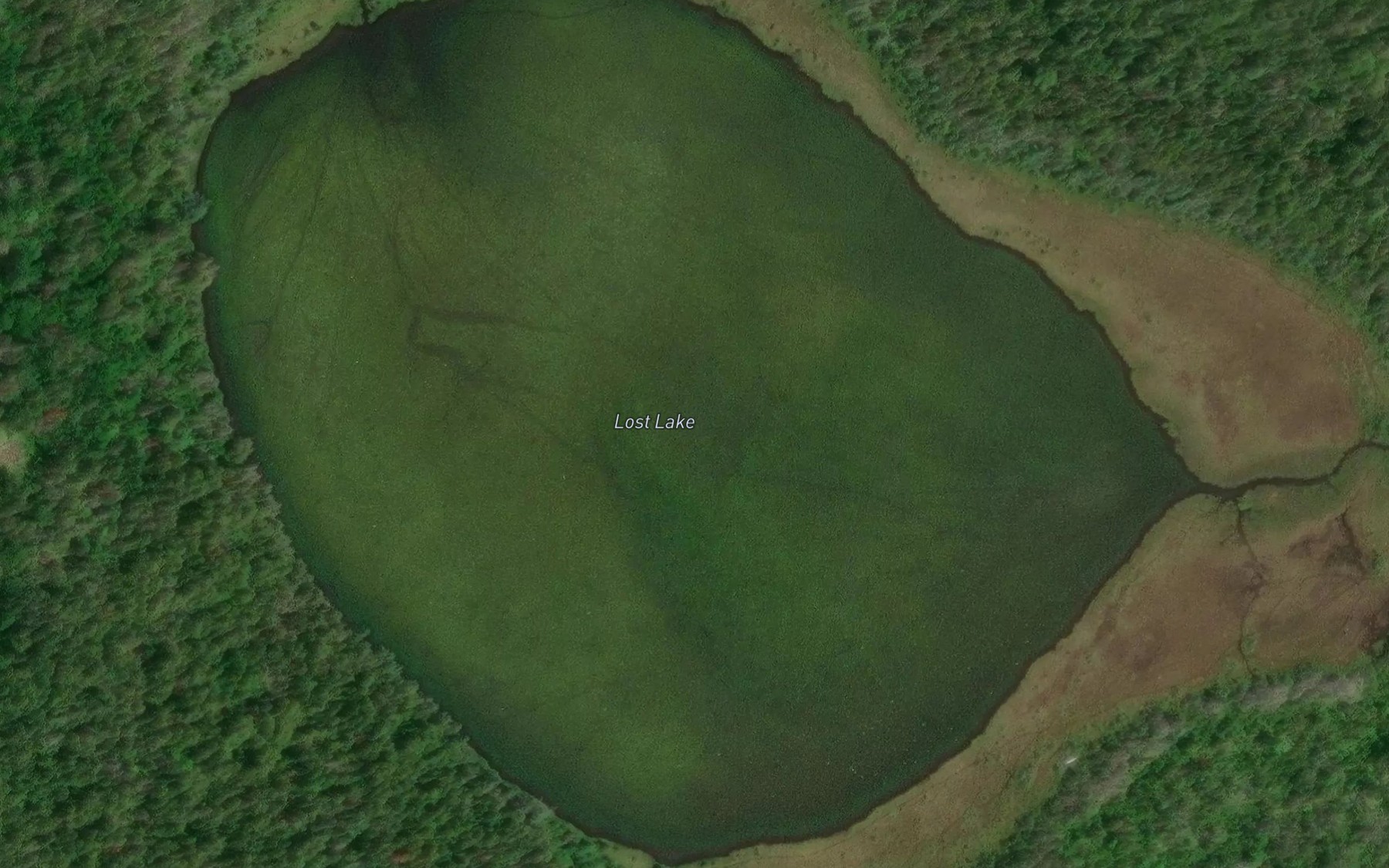 Satellite map of the Lost Lake
