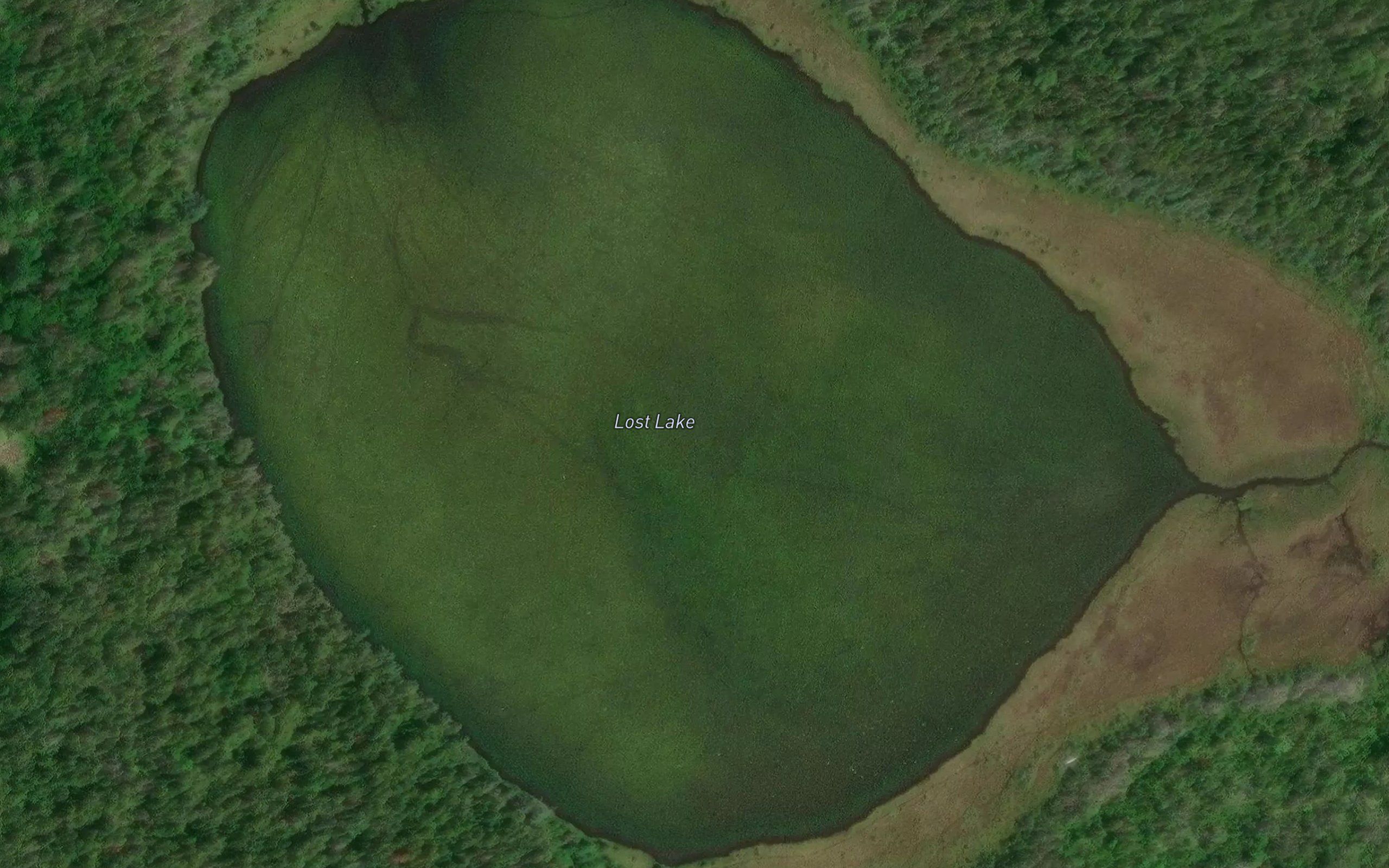 Lost Lake
