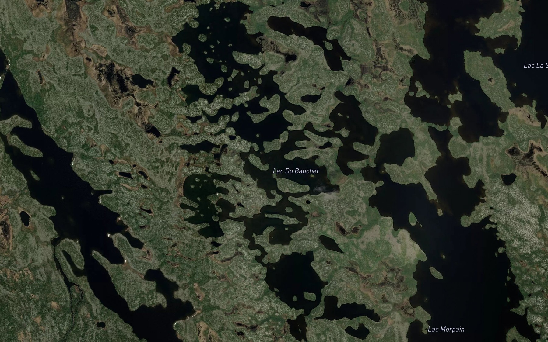 Satellite map of the Lac Du Bauchet