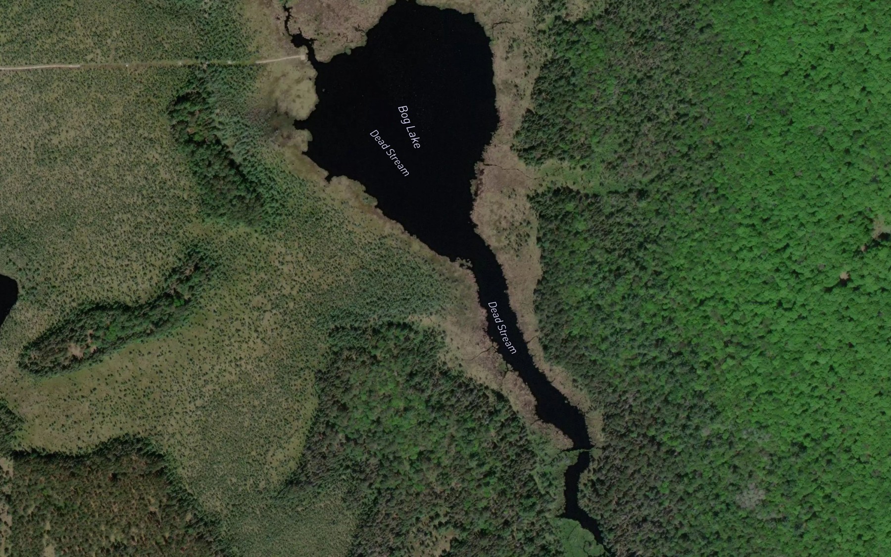Satellite map of the Bog Lake