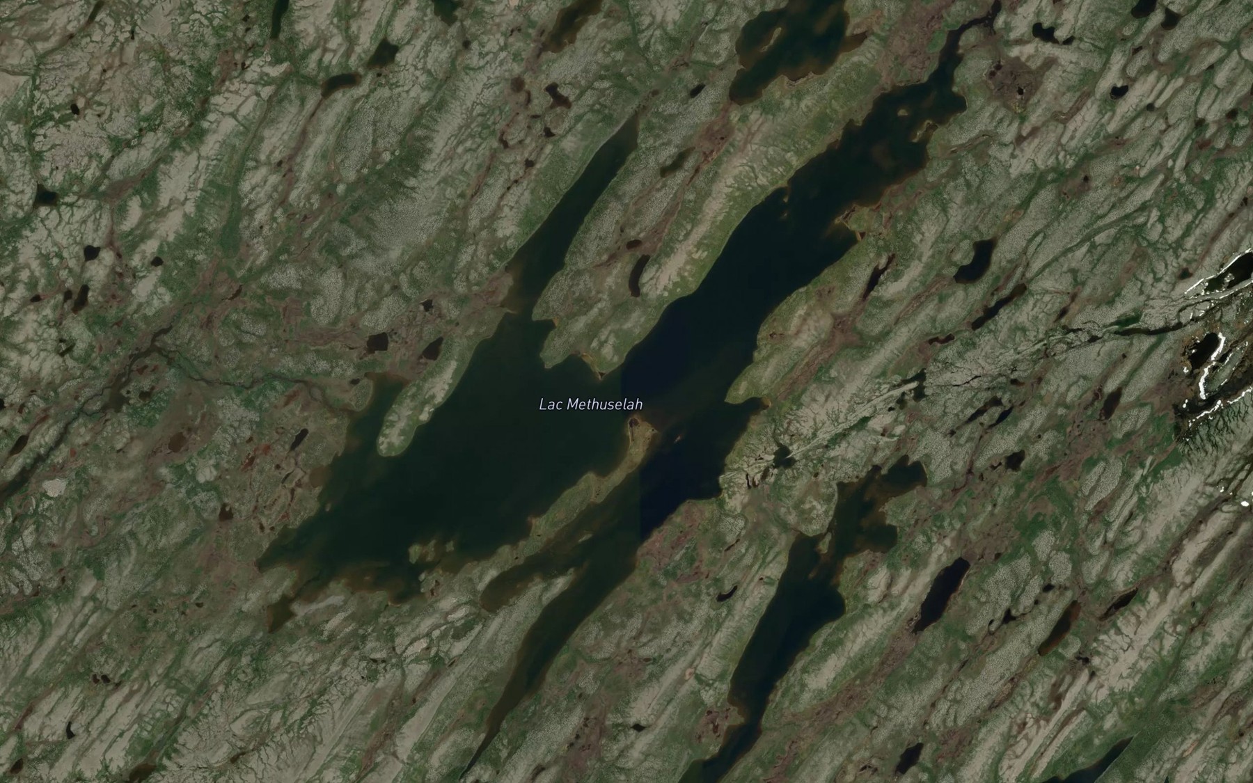 Satellite map of the Lac Methuselah