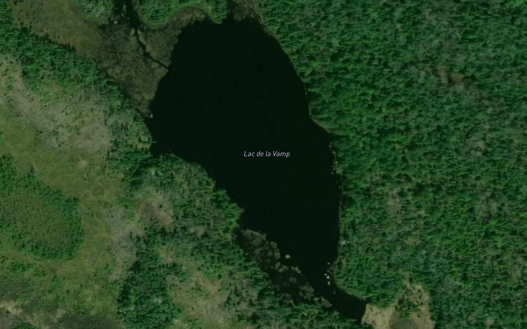 Satellite map of the Lac de la Vamp