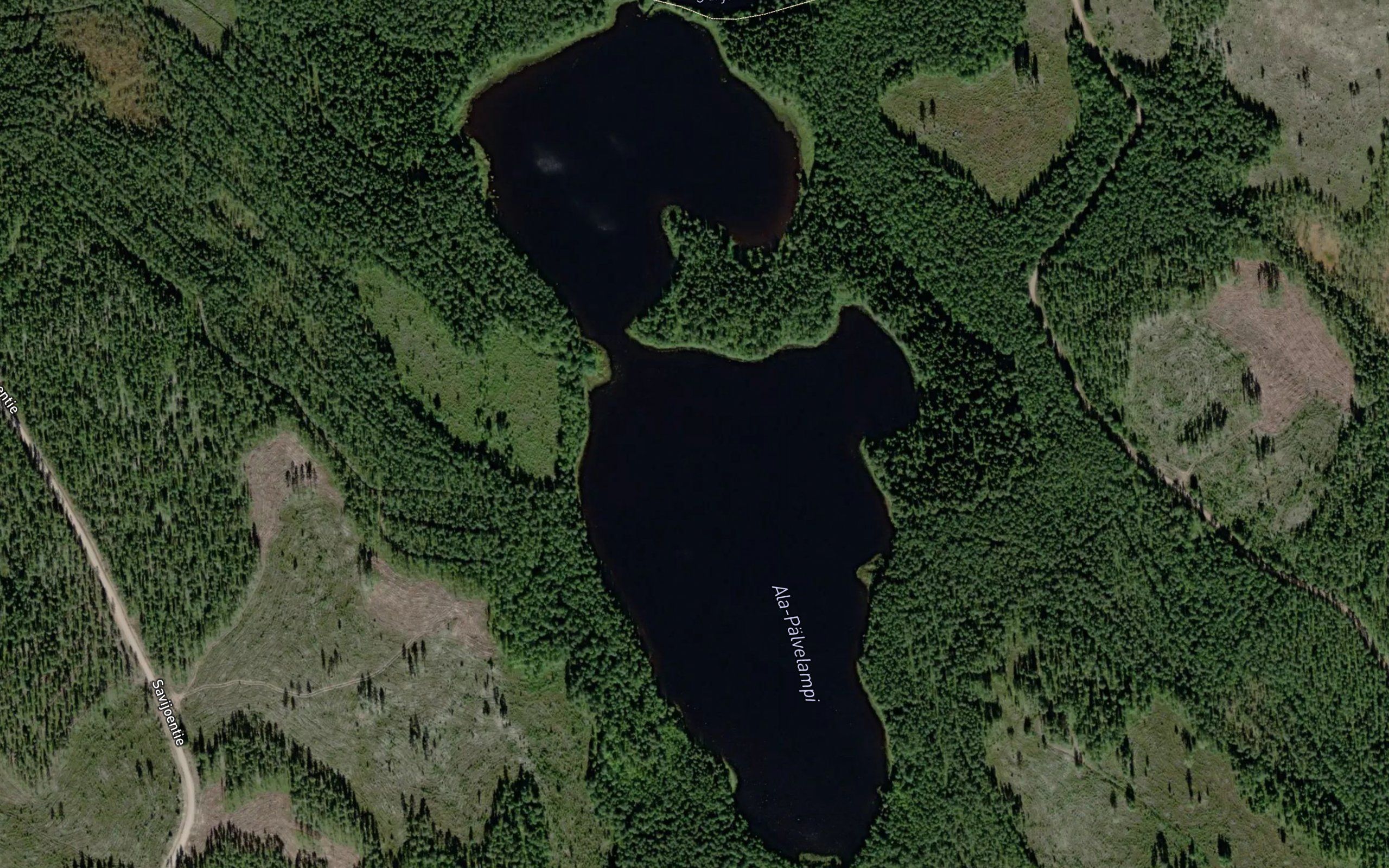 Ala-Palvelampi