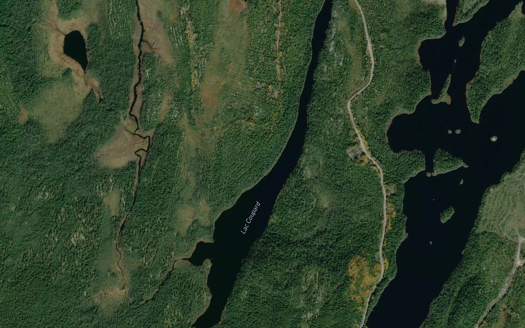 Satellite map of the Lac Coupard