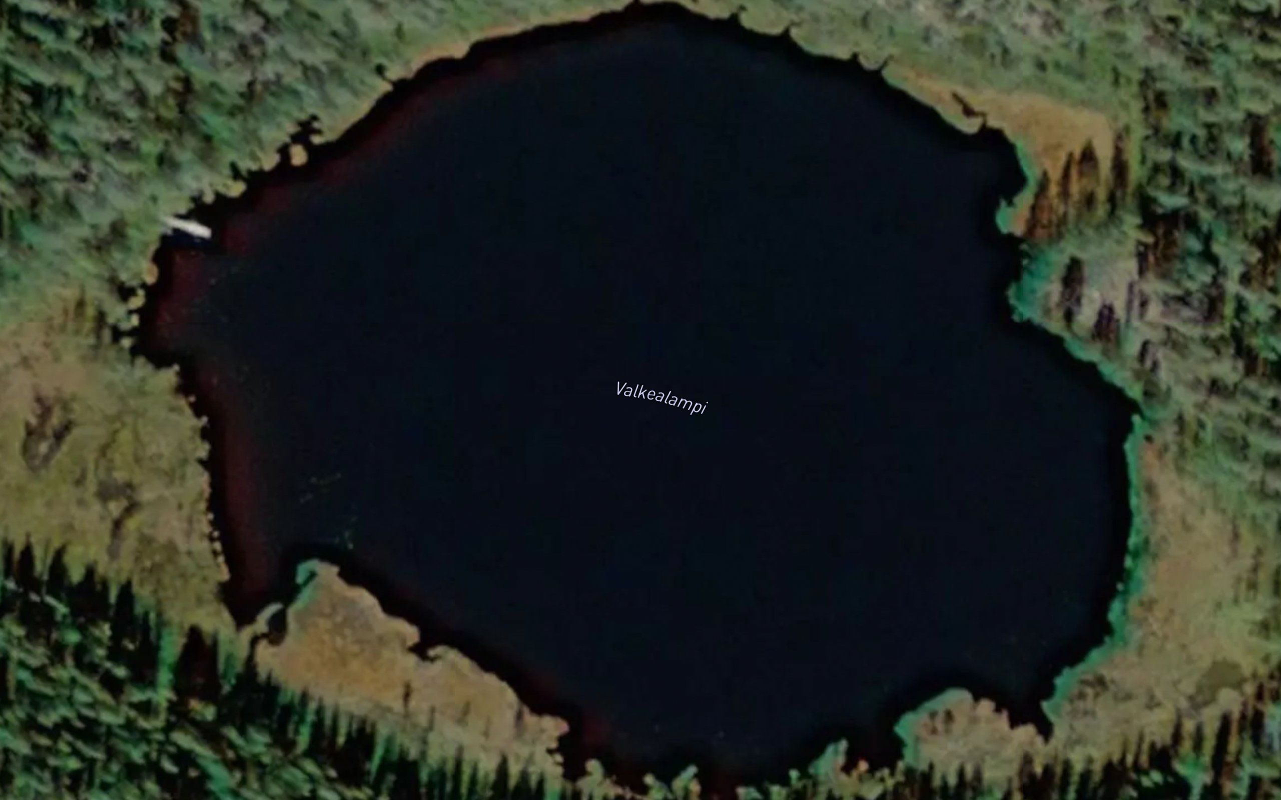 Valkealampi