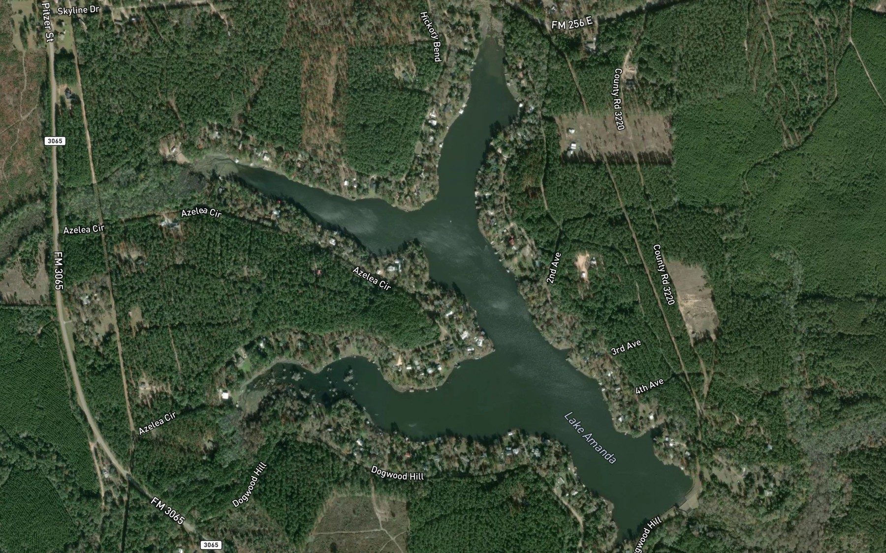 Satellite map of the Lively Branch