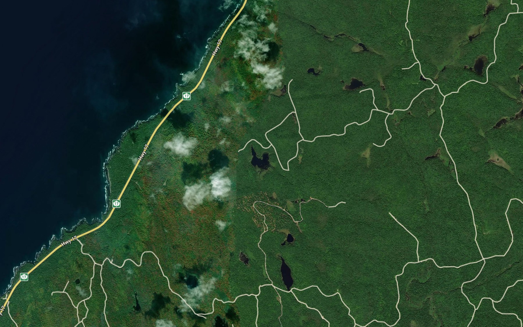 Satellite map of the Trout Lake