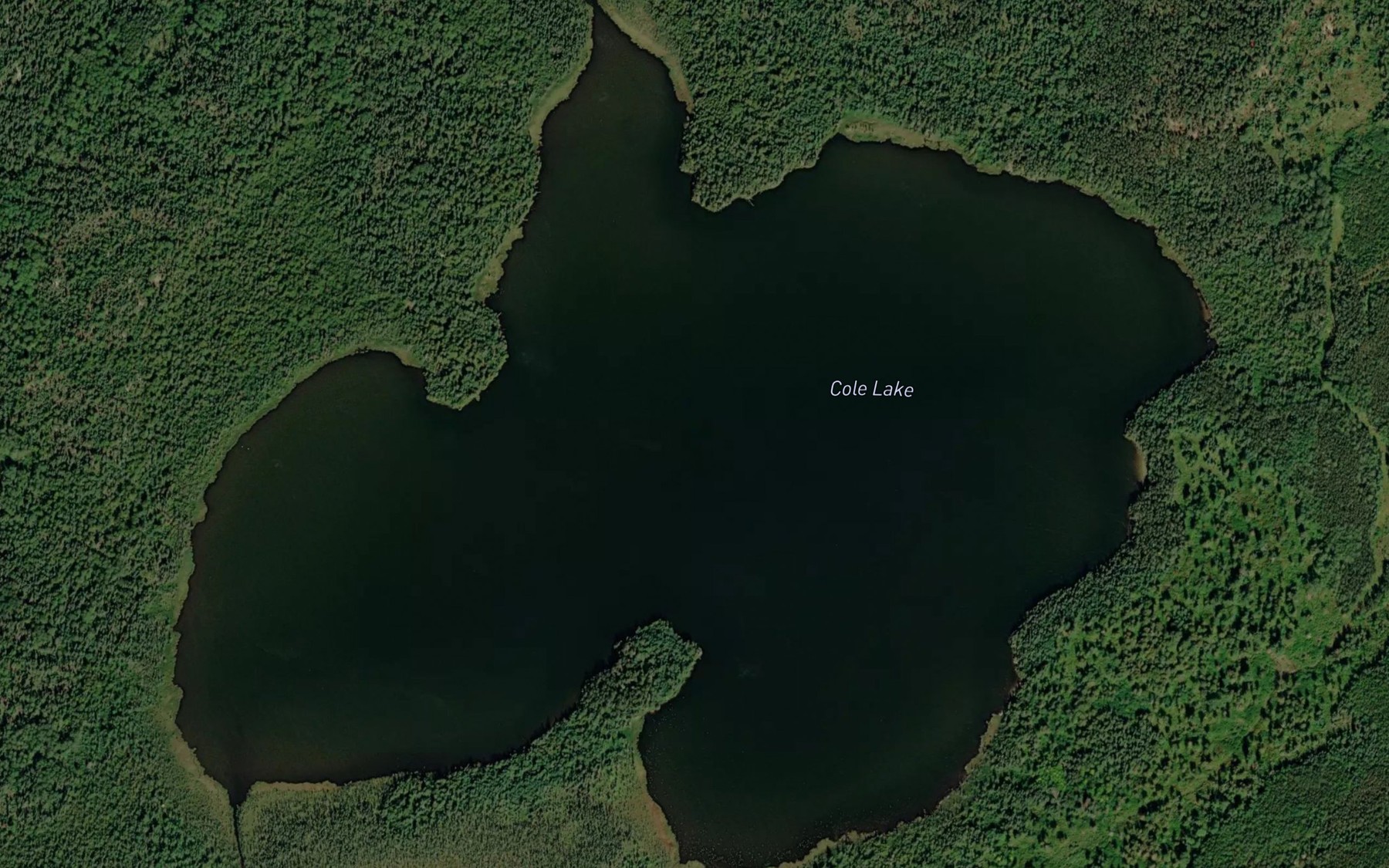 Satellite map of the Cole Lake