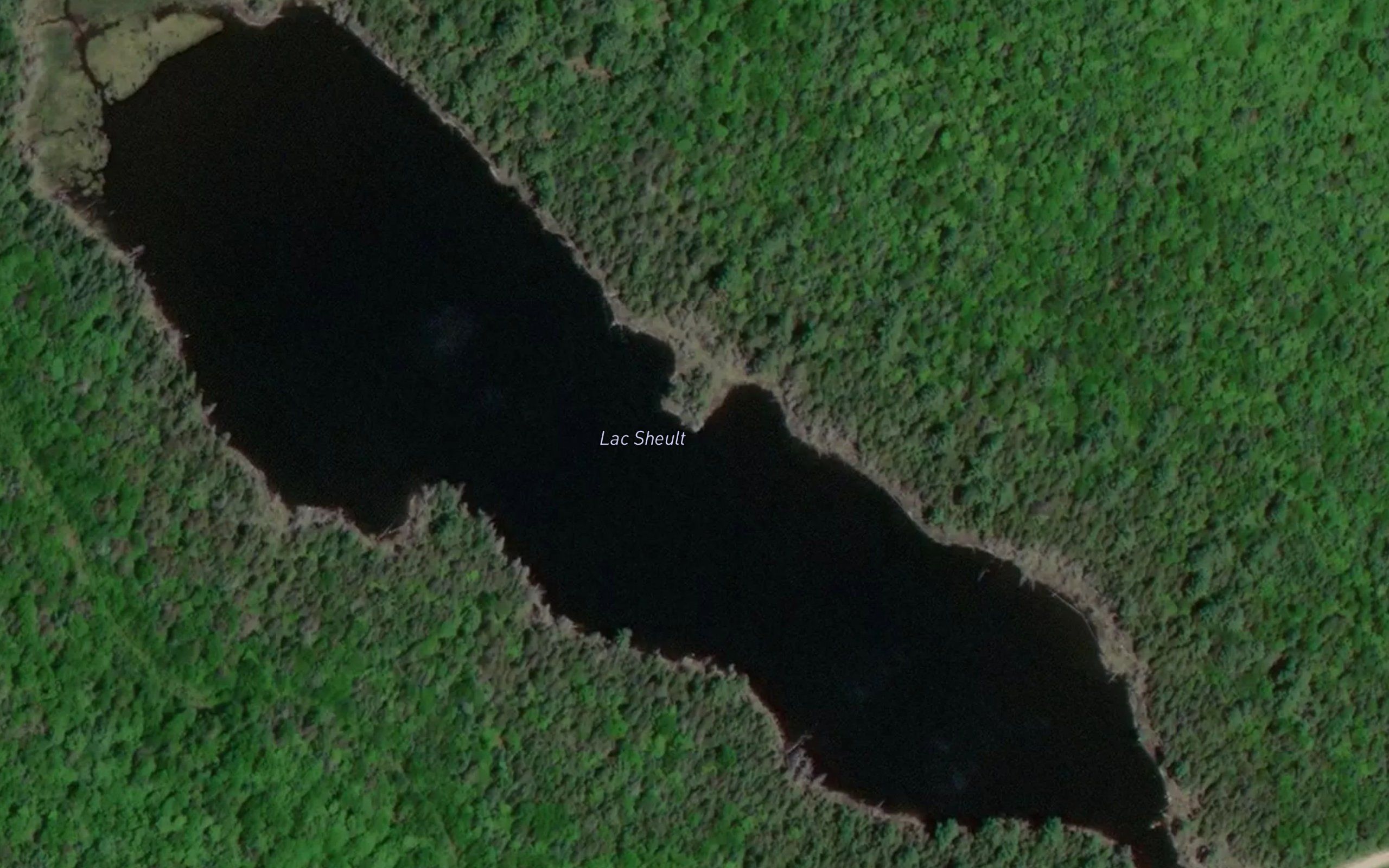 Lac Sheult