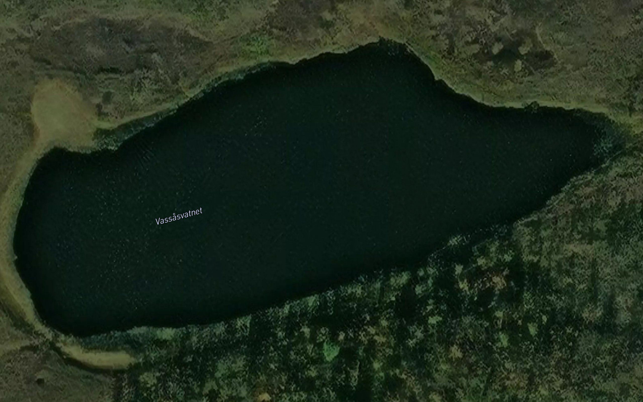 Vassasvannet