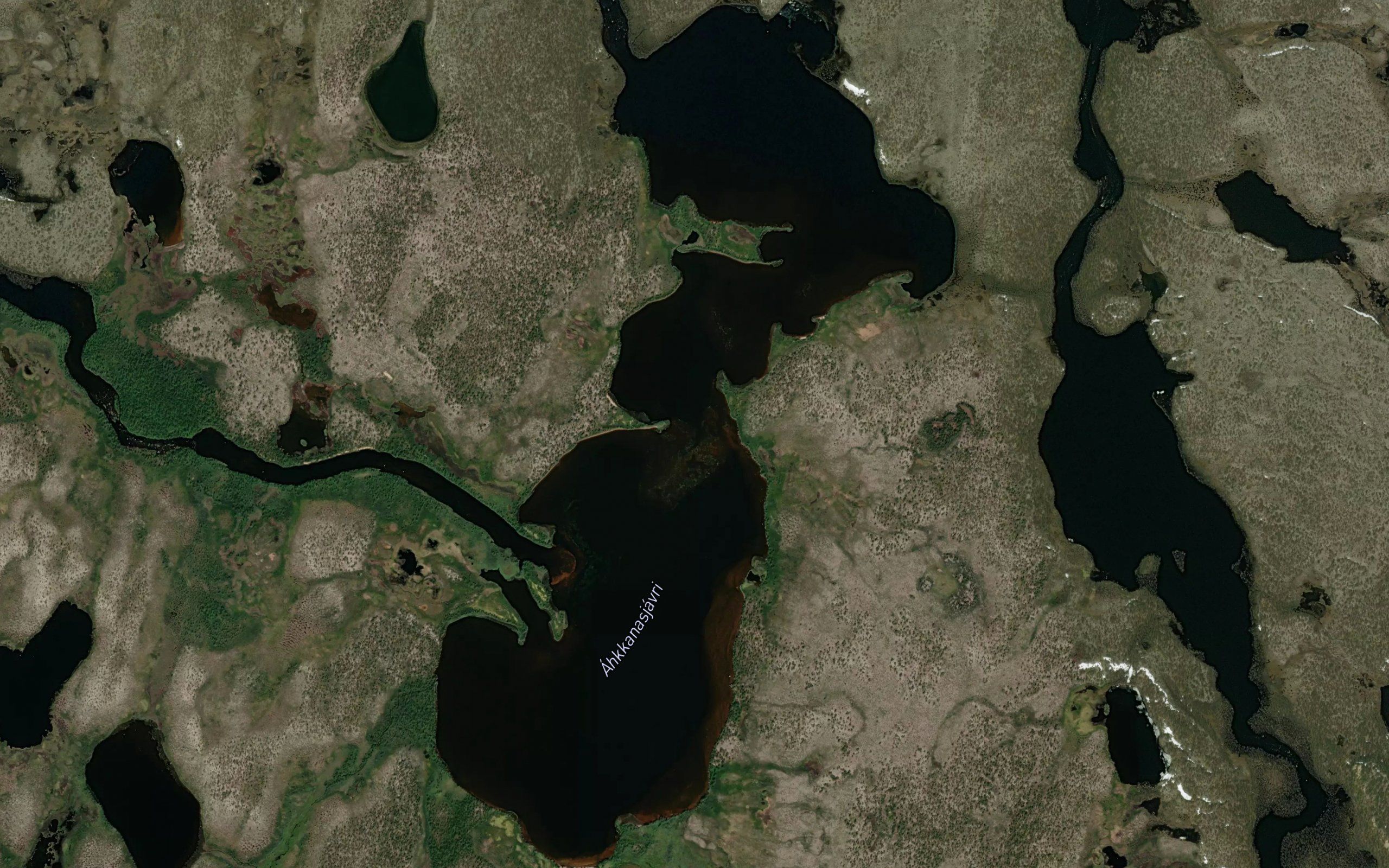 Akkanasjavri