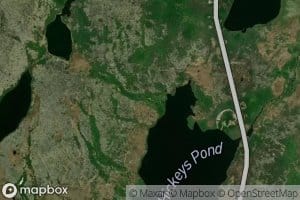 Hickeys Pond