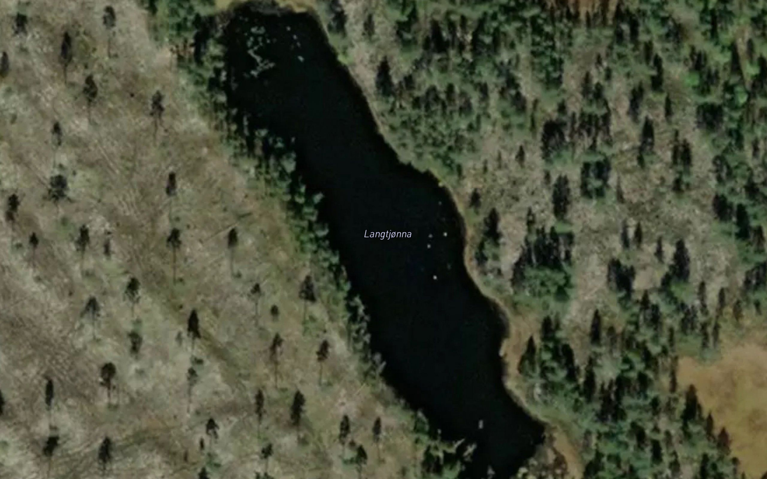 Langtjorna