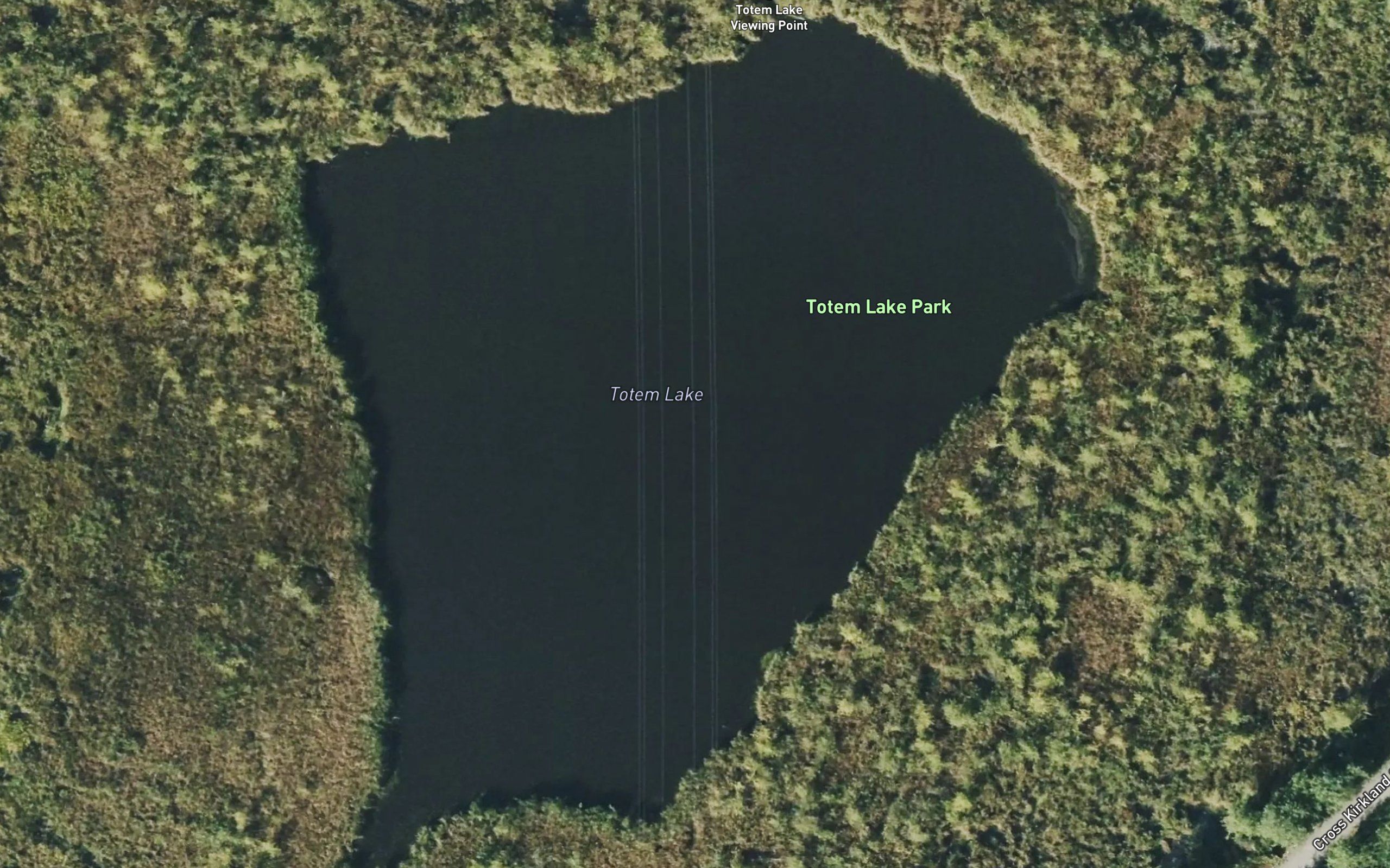 Totem Lake