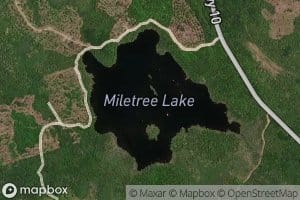 Miletree Lake