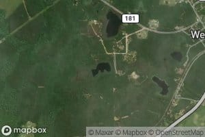 Mud Pond