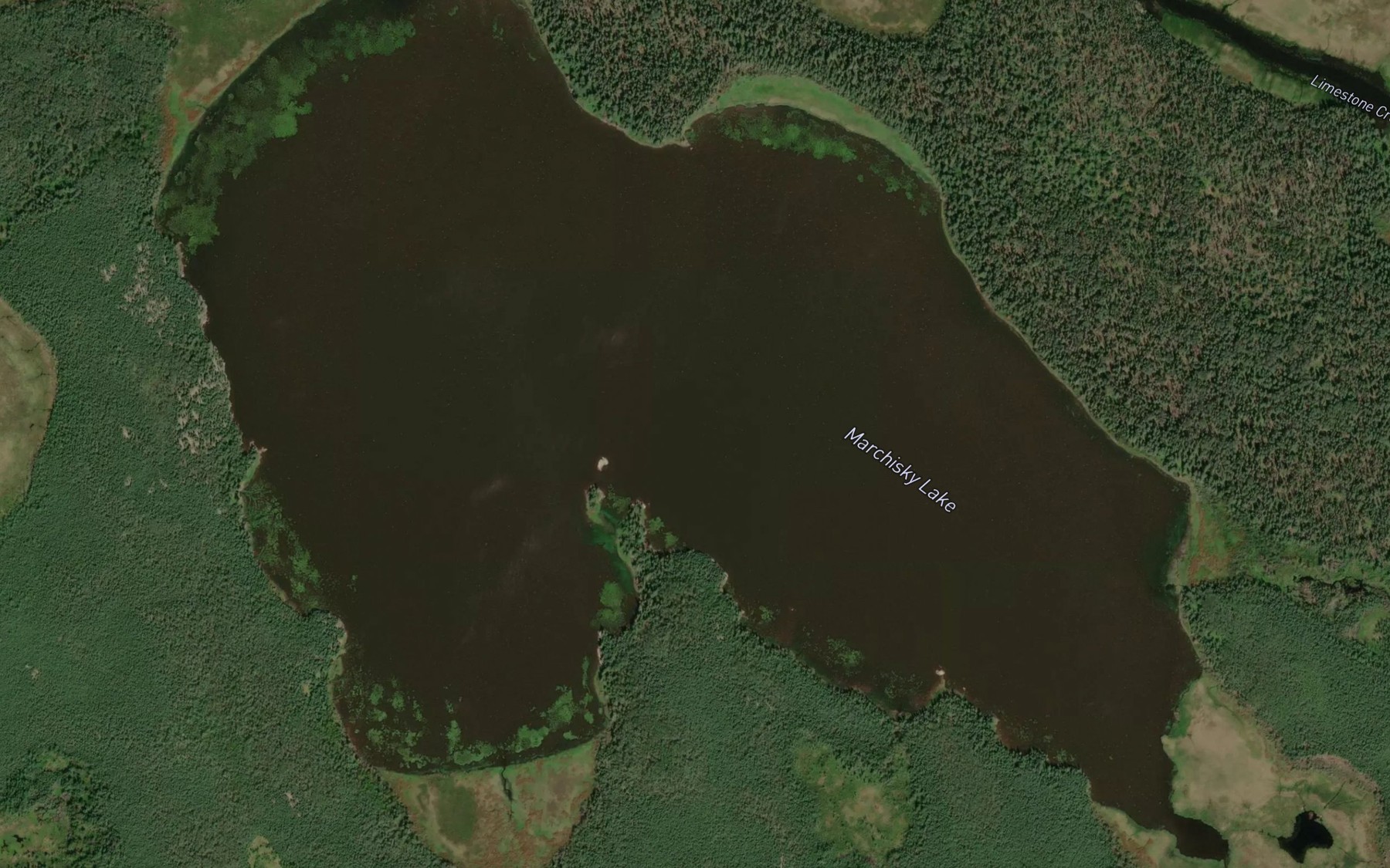 Satellite map of the Marchisky Lake