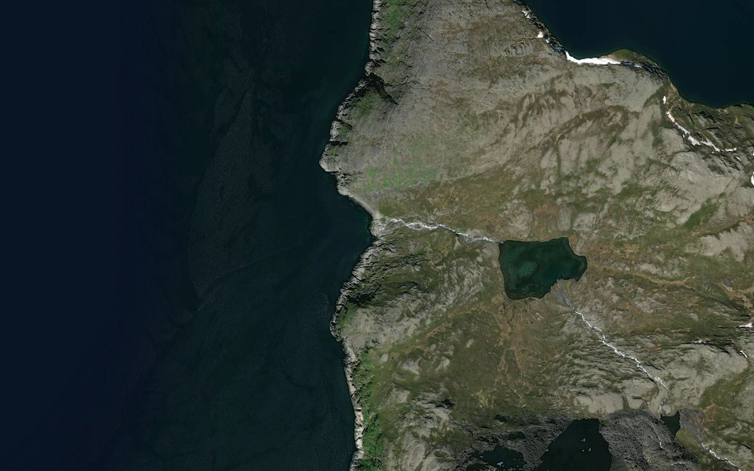 Sommarvikelva