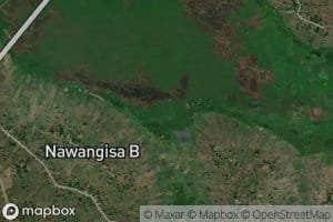 Kiwaita