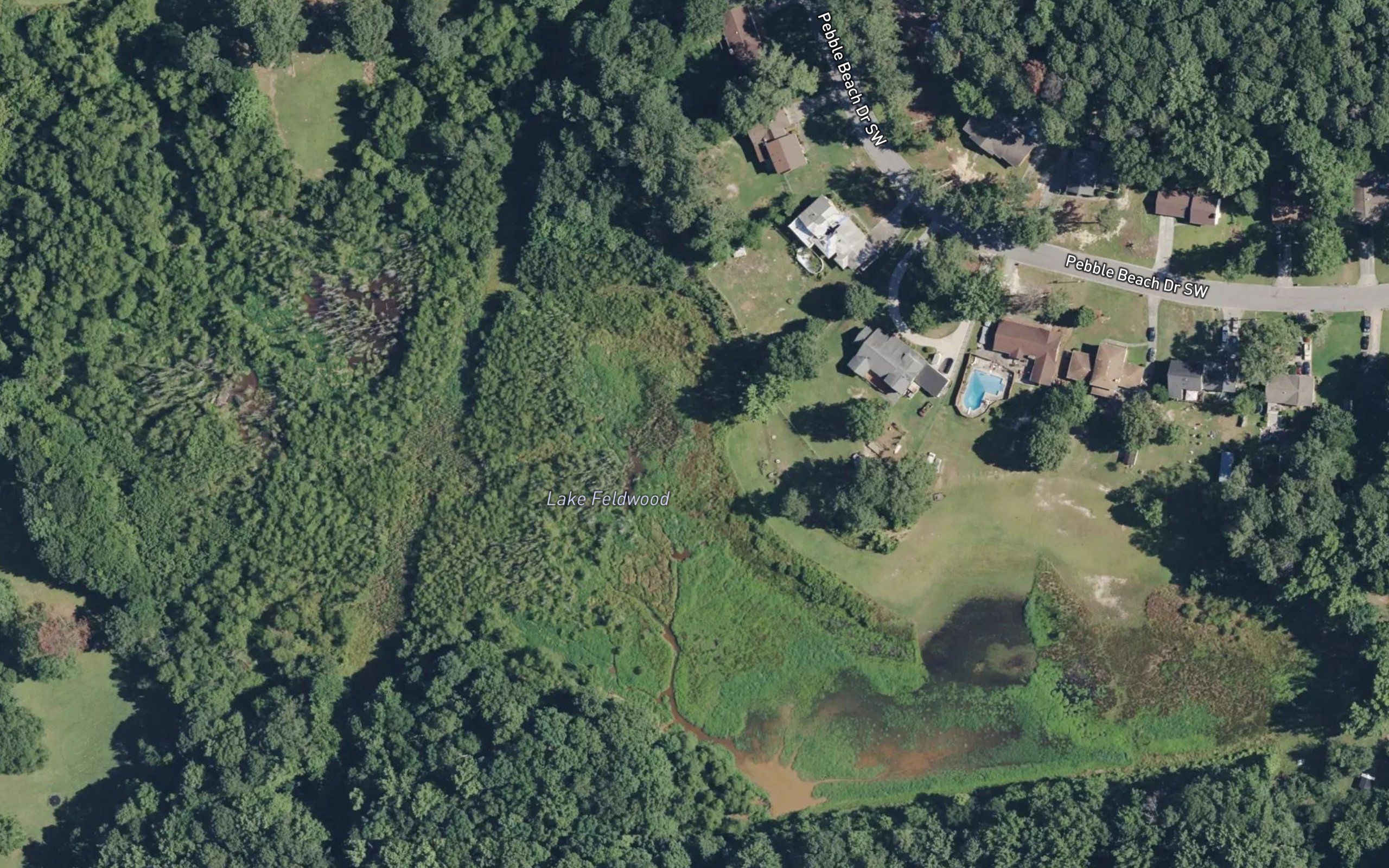 Lake Feldwood
