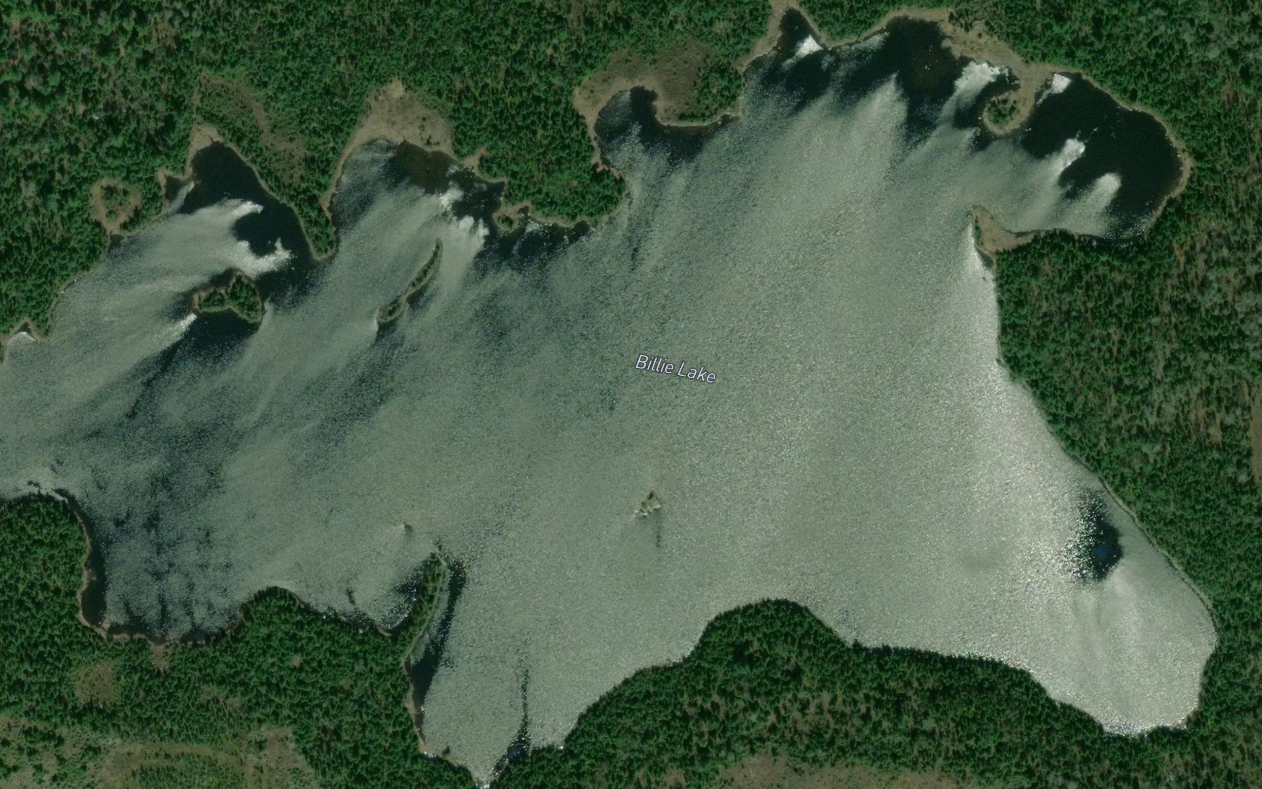 Billie Lake