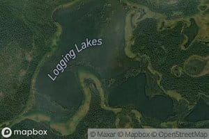 Logging Lake