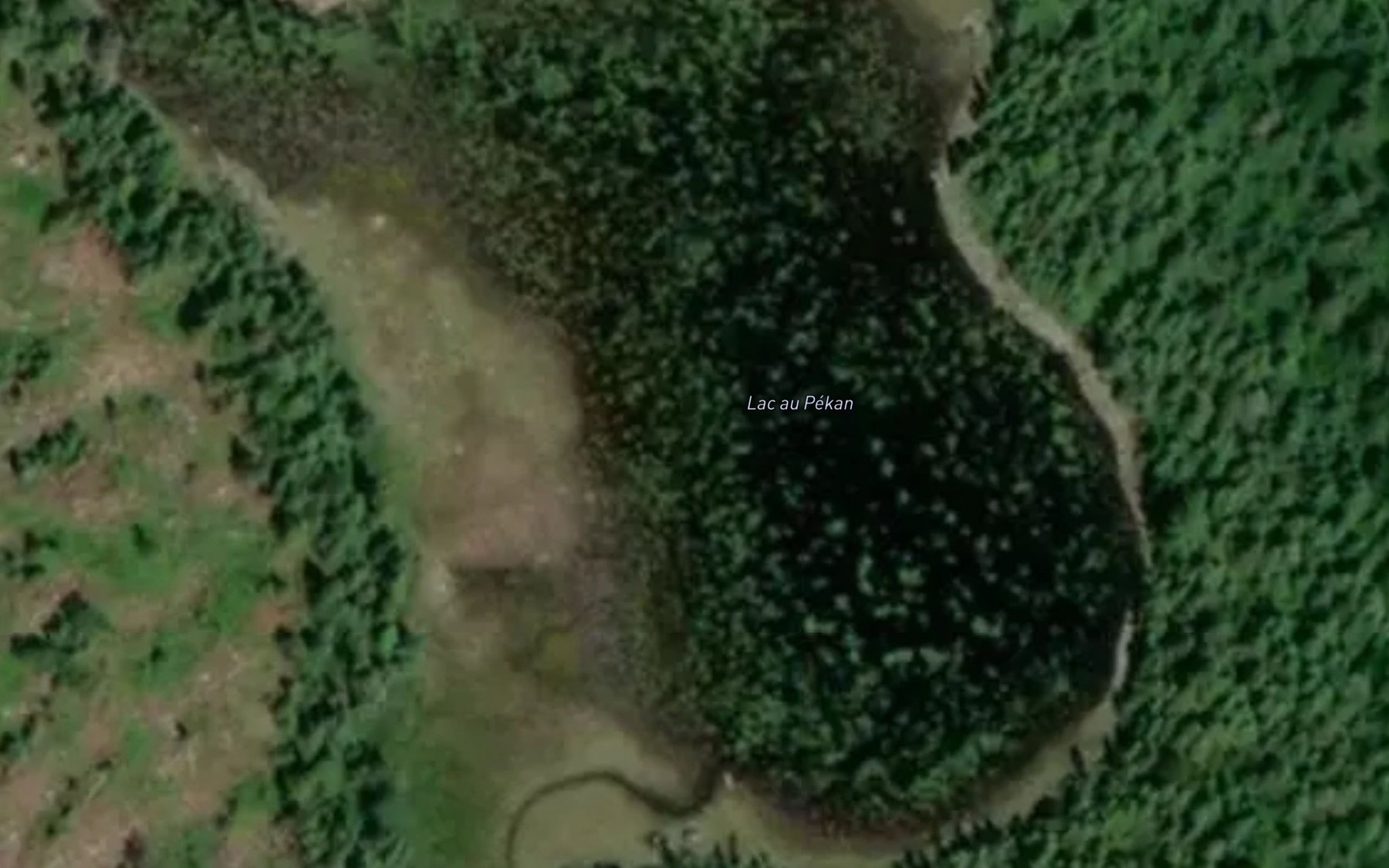 Satellite map of the Lac au Pekan