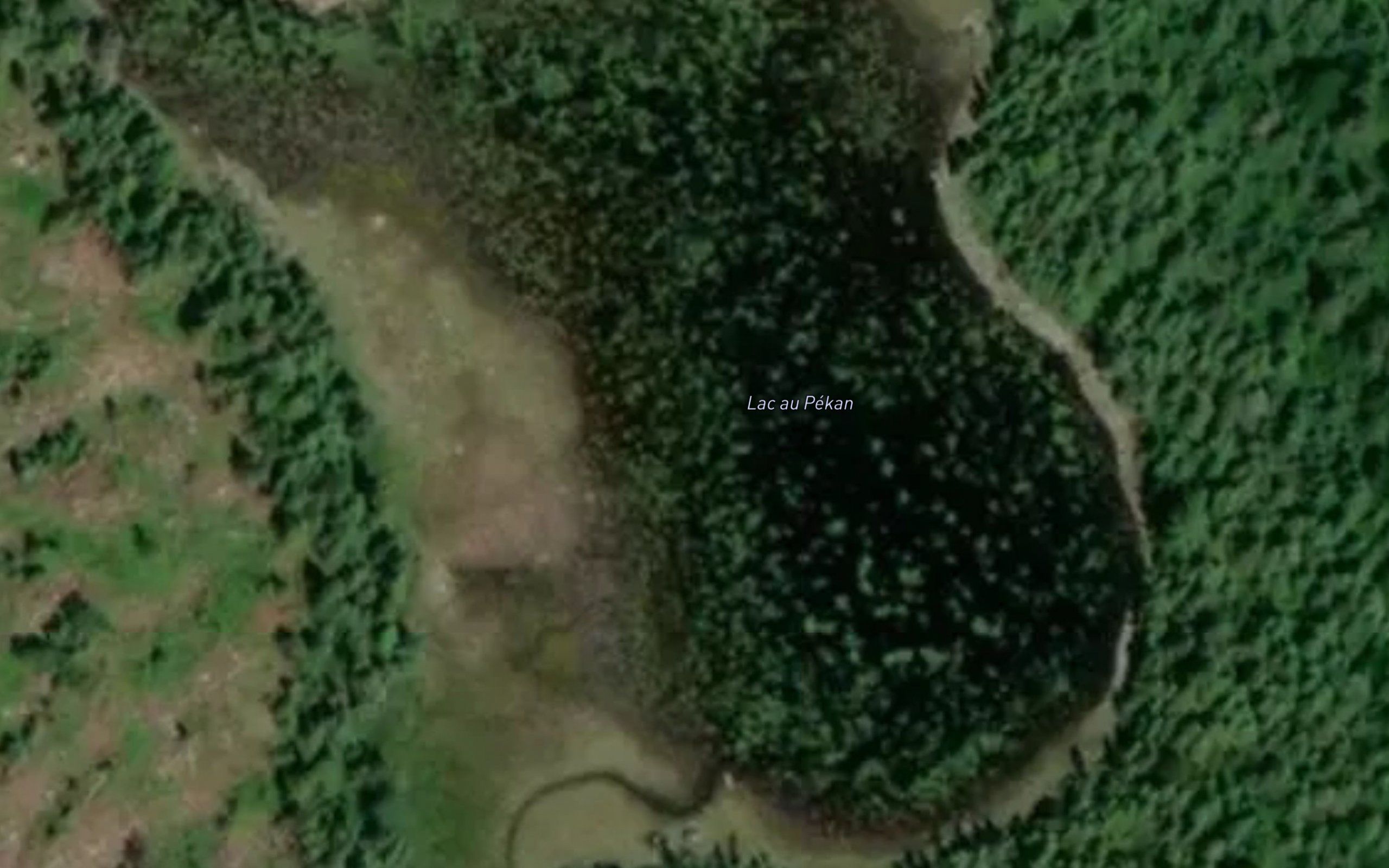 Lac au Pekan