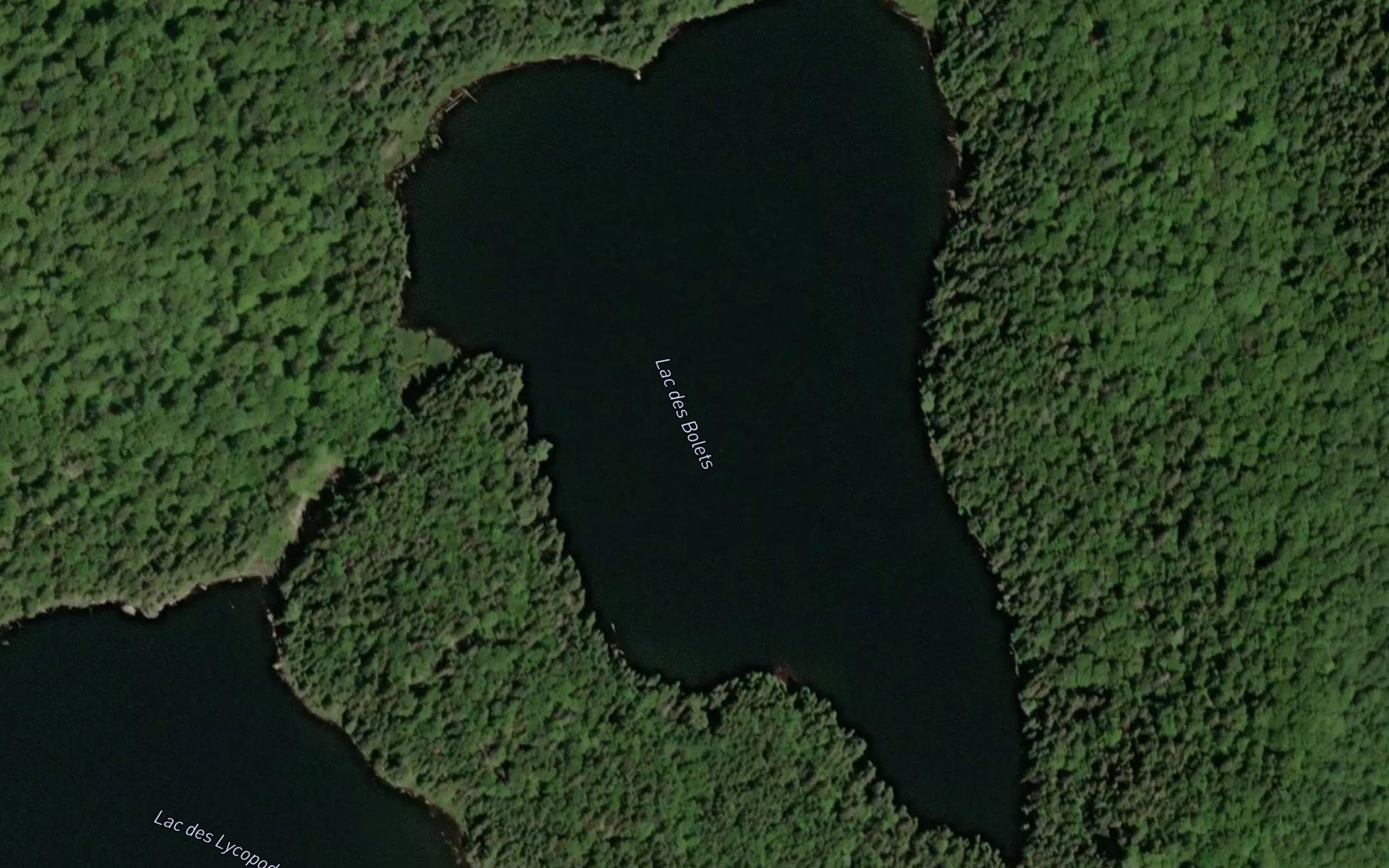 Satellite map of the Lac des Bolets