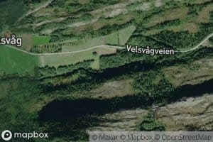 Velsvagelva