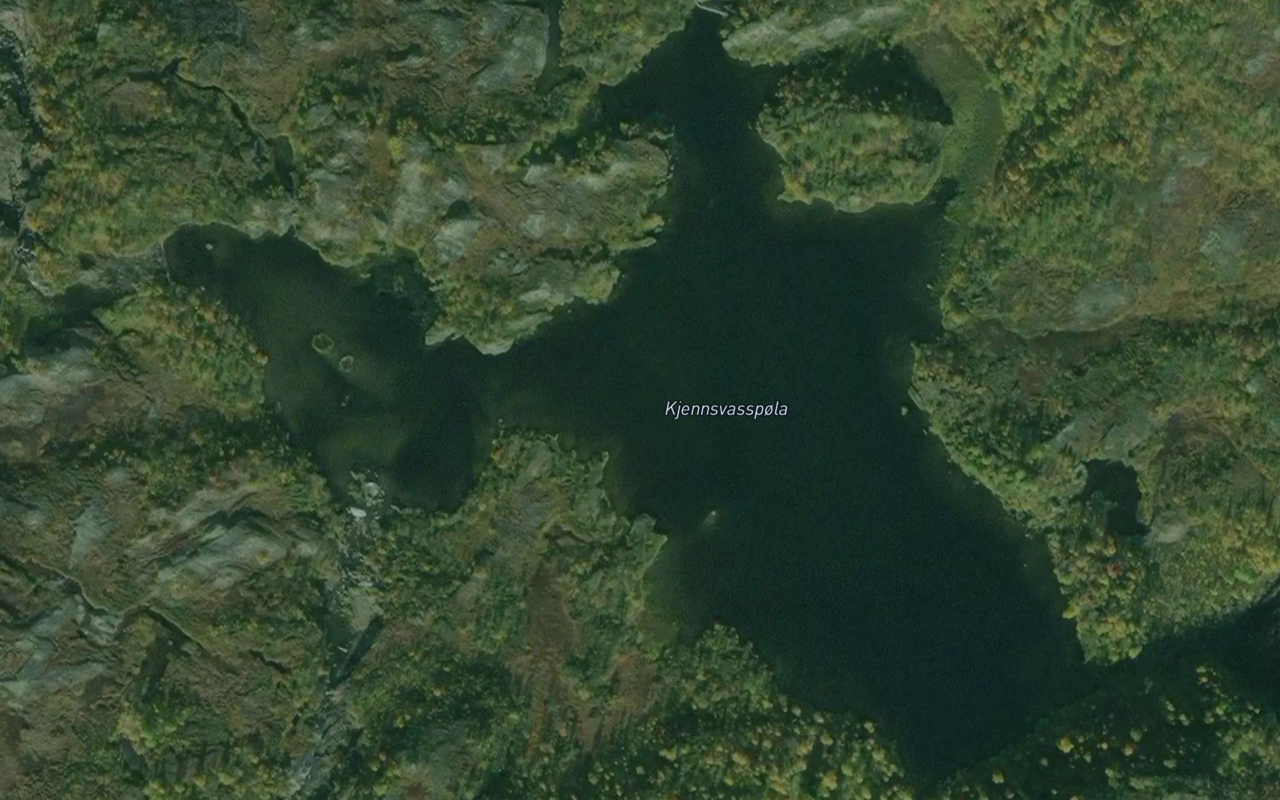 Kjennsvasspola